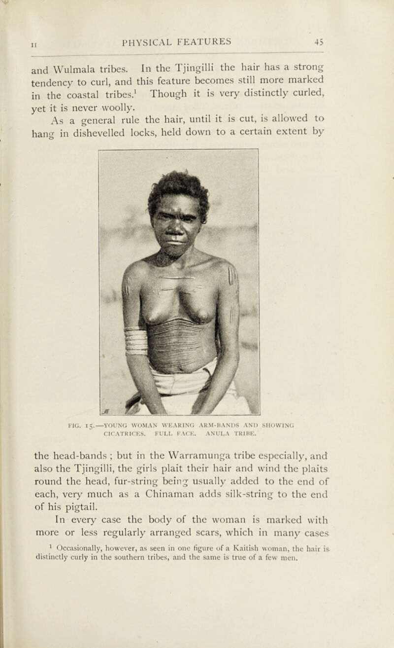and YVulmala tribes. In the Tjingilli the hair has a strong tendency to curl, and this feature becomes still more marked in the coastal tribes.1 Though it is very distinctly curled, yet it is never woolly. As a general rule the hair, until it is cut, is allowed to hanef in dishevelled locks, held down to a certain extent by o FIG. 15.—YOUNG WOMAN WEARING ARM-HANDS AND SHOWING CICATRICES. FULL FACE. ANULA TRIBE. the head-bands ; but in the Warramunga tribe especially, and also the Tjingilli, the girls plait their hair and wind the plaits round the head, fur-string being usually added to the end of each, very much as a Chinaman adds silk-string to the end of his pigtail. In every case the body of the woman is marked with more or less regularly arranged scars, which in many cases 1 Occasionally, however, as seen in one figure of a Rakish woman, the hair is. distinctly curly in the southern tribes, and the same is true of a few men.