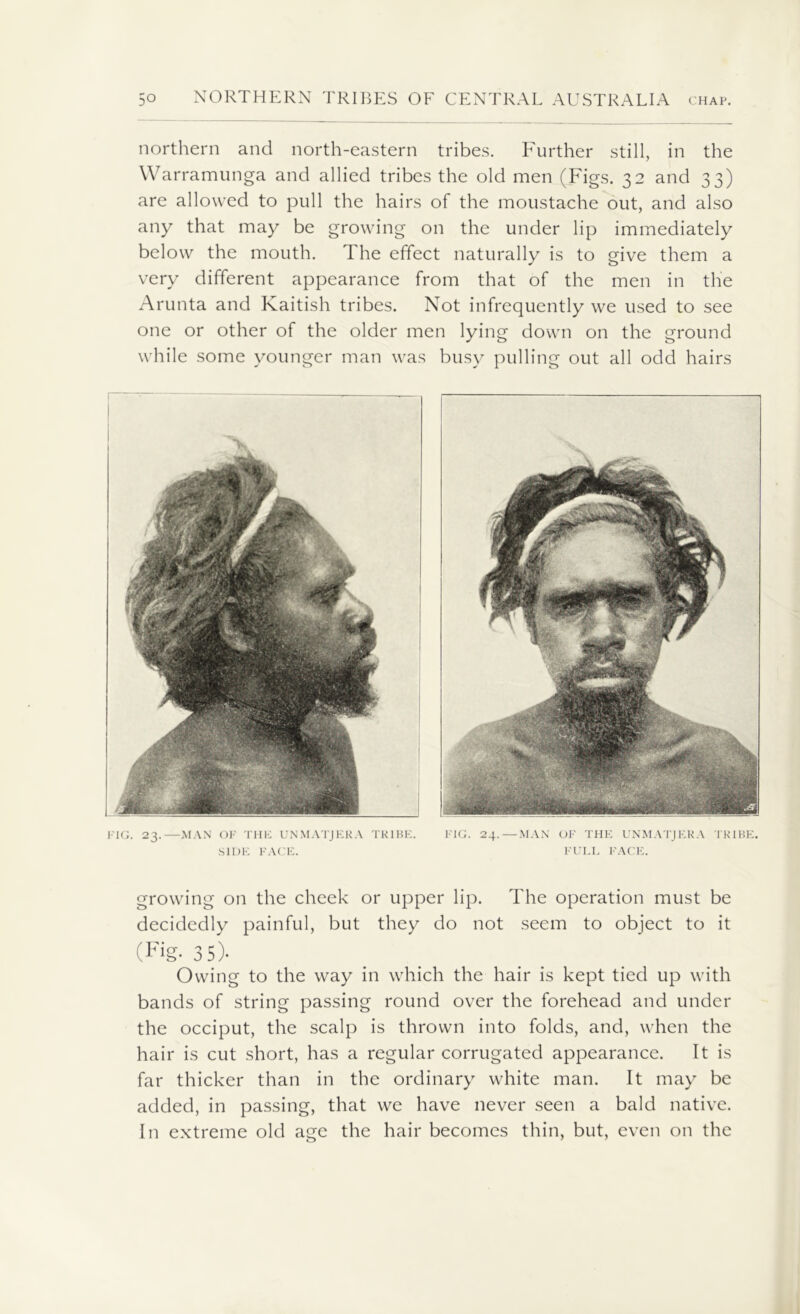 FIG. 23.—MAN OF THE UNMATJEKA TRIBE. FIG. 24.—MAN OF THE UNMATJERA TRIBE. SIDE FACE. FULL FACE. growing on the cheek or upper lip. The operation must be decidedly painful, but they do not seem to object to it (Fig. 3 5)- Owing to the way in which the hair is kept tied up with bands of string passing round over the forehead and under the occiput, the scalp is thrown into folds, and, when the hair is cut short, has a regular corrugated appearance. It is far thicker than in the ordinary white man. It may be added, in passing, that we have never seen a bald native. In extreme old age the hair becomes thin, but, even on the northern and north-eastern tribes. Further still, in the Warramunga and allied tribes the old men (Figs. 32 and 33) are allowed to pull the hairs of the moustache out, and also any that may be growing on the under lip immediately below the mouth. The effect naturally is to give them a very different appearance from that of the men in the Arunta and Kaitish tribes. Not infrequently we used to see one or other of the older men lying down on the ground while some younger man was busy pulling out all odd hairs