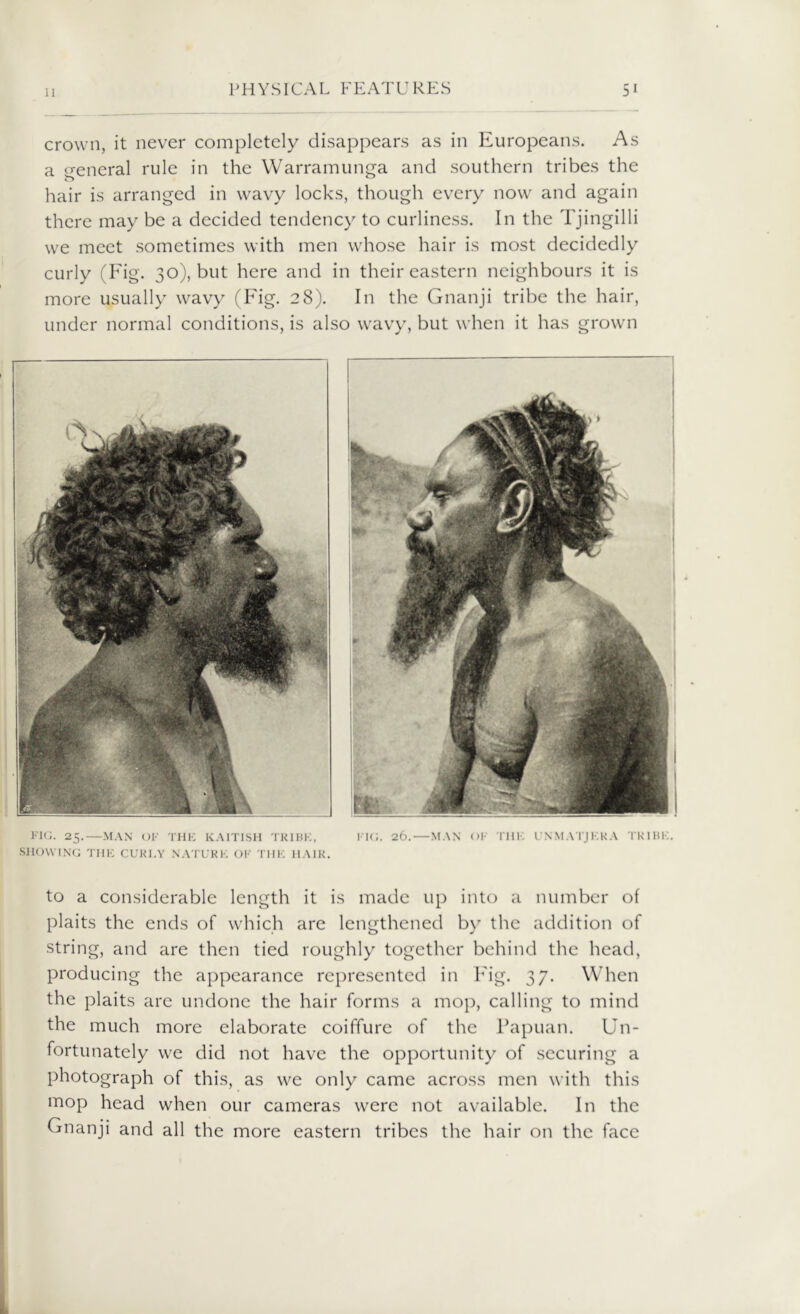 crown, it never completely disappears as in Europeans. As a general rule in the Warramunga and southern tribes the hair is arranged in wavy locks, though every now and again there may be a decided tendency to curliness. In the Tjingilli we meet sometimes with men whose hair is most decidedly curly (Fig. 30), but here and in their eastern neighbours it is more usually wavy (Fig. 28). In the Gnanji tribe the hair, under normal conditions, is also wavy, but when it has grown FIG. 25.—MAN OF THE KAIT1SH TRIBE, FIG. 26.—MAN OF THE UNMATJKRA TRIBE. SHOWING THE CURLY NATURE OK THE HAIR. to a considerable length it is made up into a number of plaits the ends of which are lengthened by the addition of string, and are then tied roughly together behind the head, producing the appearance represented in Fig. 37. When the plaits are undone the hair forms a mop, calling to mind the much more elaborate coiffure of the Papuan. Un- fortunately we did not have the opportunity of securing a photograph of this, as we only came across men with this mop head when our cameras were not available. In the Gnanji and all the more eastern tribes the hair on the face i