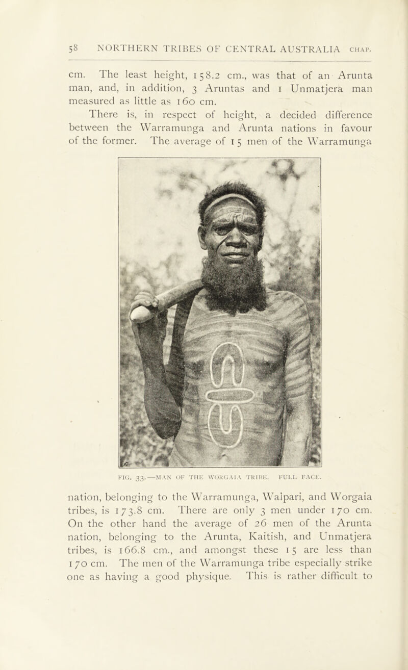 FIG. 33-—man of the yvorgaia tribe, full face. nation, belonging to the Warramunga, Waipari, and Worgaia tribes, is 173.8 cm. There are only 3 men under 170 cm. On the other hand the average of 26 men of the Arunta nation, belonging to the Arunta, Kaitish, and Unmatjera tribes, is 166.8 cm., and amongst these 15 are less than 1 70 cm. The men of the Warramunga tribe especially strike one as having a good physique. This is rather difficult to cm. The least height, 158.2 cm., was that of an Arunta man, and, in addition, 3 Aruntas and 1 Unmatjera man measured as little as 160 cm. There is, in respect of height, a decided difference between the Warramunga and Arunta nations in favour of the former. The average of 1 5 men of the Warramunga k