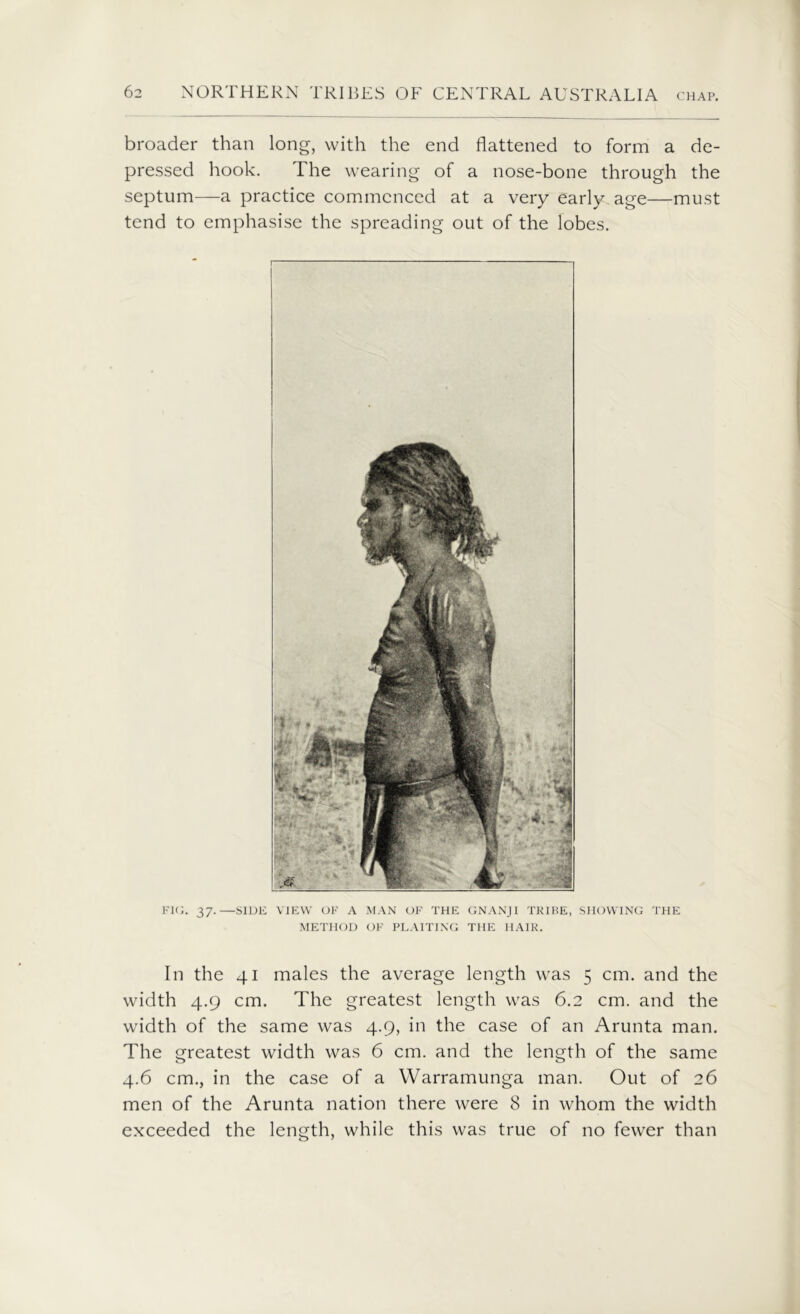 broader than long, with the end flattened to form a de- pressed hook. The wearing of a nose-bone through the septum—a practice commenced at a very early age—must tend to emphasise the spreading out of the lobes. FIG. 37.—SIDE VIEW OF A MAN OF THE GNANJI TRIBE, SHOWING THE METHOD OF PLAITING THE HAIR. In the 41 males the average length was 5 cm. and the width 4.9 cm. The greatest length was 6.2 cm. and the width of the same was 4.9, in the case of an Arunta man. The greatest width was 6 cm. and the length of the same 4.6 cm., in the case of a Warramunga man. Out of 26 men of the Arunta nation there were 8 in whom the width exceeded the length, while this was true of no fewer than