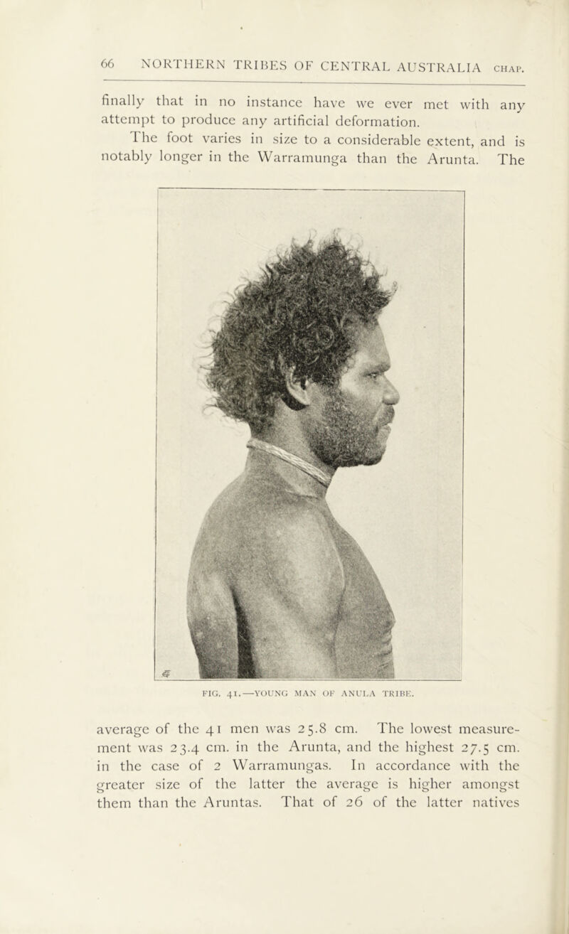 CHAP. finally that in no instance have we ever met with any attempt to produce any artificial deformation. The toot varies in size to a considerable extent, and is notably longer in the Warramunga than the Arunta. The FIG. 41.—YOUNG MAN OF ANULA TRIBE. average of the 41 men was 25.8 cm. The lowest measure- ment was 23.4 cm. in the Arunta, and the highest 27.5 cm. in the case of 2 Warramungas. In accordance with the greater size of the latter the average is higher amongst them than the Aruntas. That of 26 of the latter natives