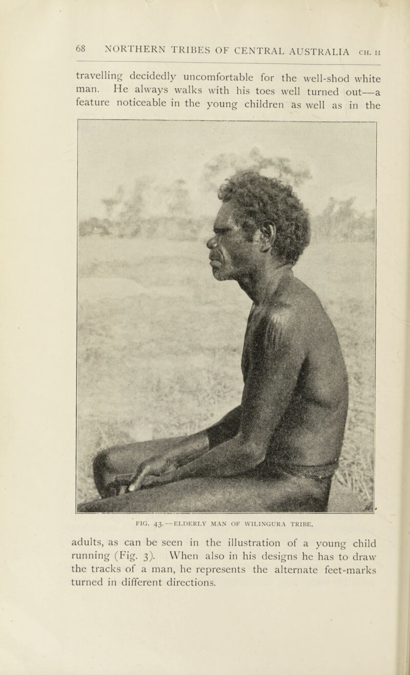 CH. II travelling- decidedly uncomfortable for the well-shod white man. He always walks with his toes well turned out—a feature noticeable in the young children as well as in the FIG. 43.—ELDERLY MAN OF WILINGURA TRIBE. adults, as can be seen in the illustration of a young child running (Fig. 3). When also in his designs he has to draw the tracks of a man, he represents the alternate feet-marks turned in different directions.