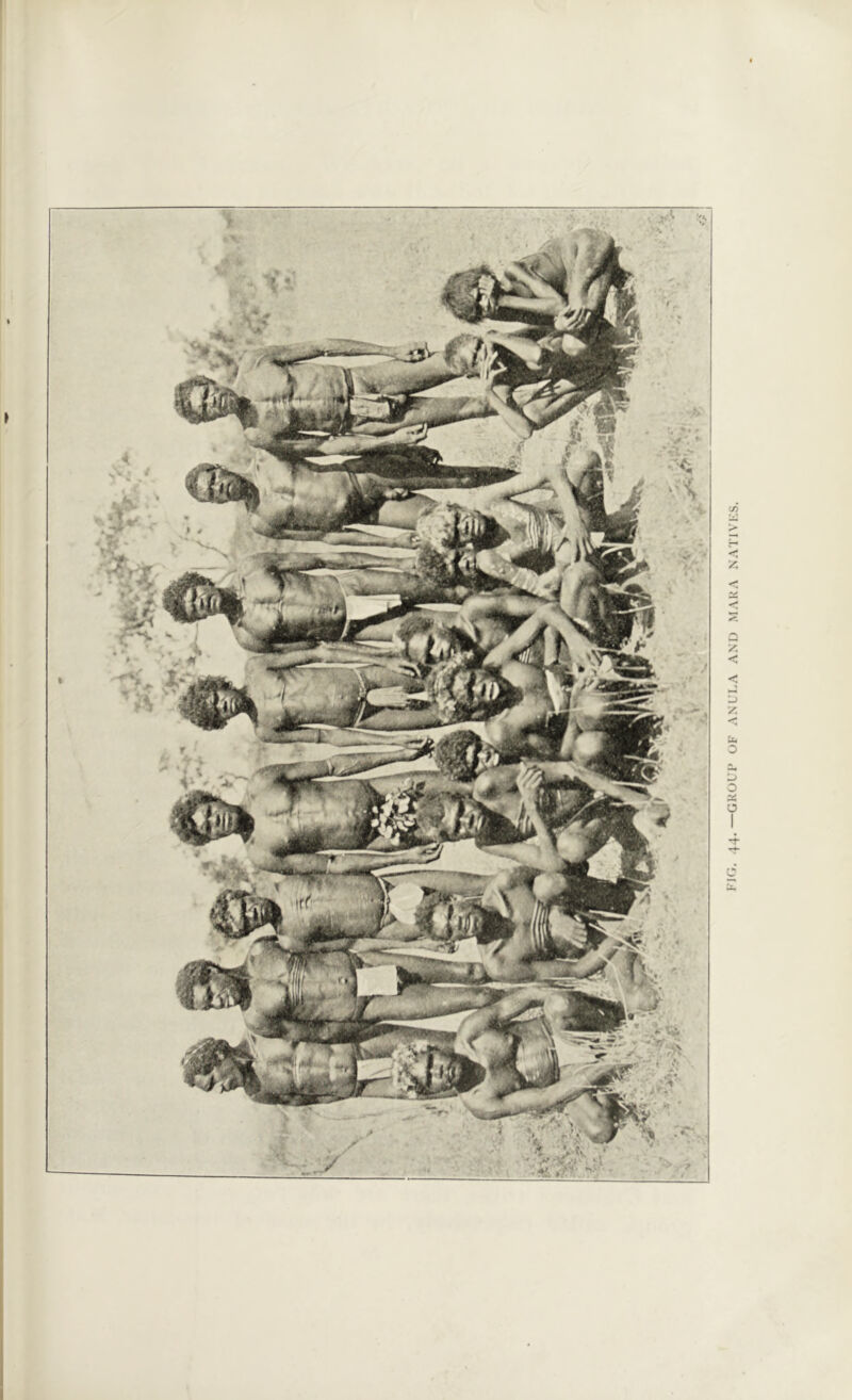 FIG. 44.—GROUP OF ANULA AND MARA NATIVES.