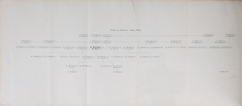 a. Purdal p, m. I. Murungun p, m. g. Kuial p, in. 2. Murungun /3, f. b. Mumbali p, (. 3. Kuial p, f. h. Murungun p} f. 4. Kuial p, m. c. Mumbali p, m. d. Purdal p, f. 5. Murungun a, f. 6. Murung n a, m. 7. Murungun a, m. e. Kuial a, m. 8. Murungun a, m. 9. Murungun a, f. 10. Kuial a, m. II. Kuial a, f. 12. Purdal a, m. 13. Purda a, f. 1 14. Purdal a, f. f. Mumbali a, f. 15. Purdal a, f. 16. Purdal a, m. 17. Mumbali a, f. 18. Mumbali a, m 19. Purdal p, m. | 20, Purdal p, f. 21. Murungun p,m.\ 22. Murungun p, f. 23. Murungun p, m. 24. Murungun p, f. 25. Murungun p, m. | 26. Murungun p, m. 27. Murungun p, f. 28. Murungun p, m. 36. Kuial p, f. 37. Kuial p, ni. — 41. Murungun a, m. 42. Murungun a, (. 43. Kuial a, m. 44. Kuial a, f. 45. Kuial p, f- 39. Kuial p, f. 40. Kuial p, r 29. Murungun p, f. 30. Purdal p, r 31. Purdal /3, f. 32. Kuial/?, m. ! 33. Kuial /3, f. 34, Mumbali p, m. I 35. Mumbali p, f. 51. Purdal a, f. 52. Purdal a, m. 46. Murungun a, f. 47. Murungun a, m. 48. Murungun a, f. 49. Kuial a, m. 50. Kuial a, f. 53. Murungun p, Kuial p, f. 54. Murungun p, f. 55. Purdal p, m. | 56. Purdal p, f. Mumbali p, m.