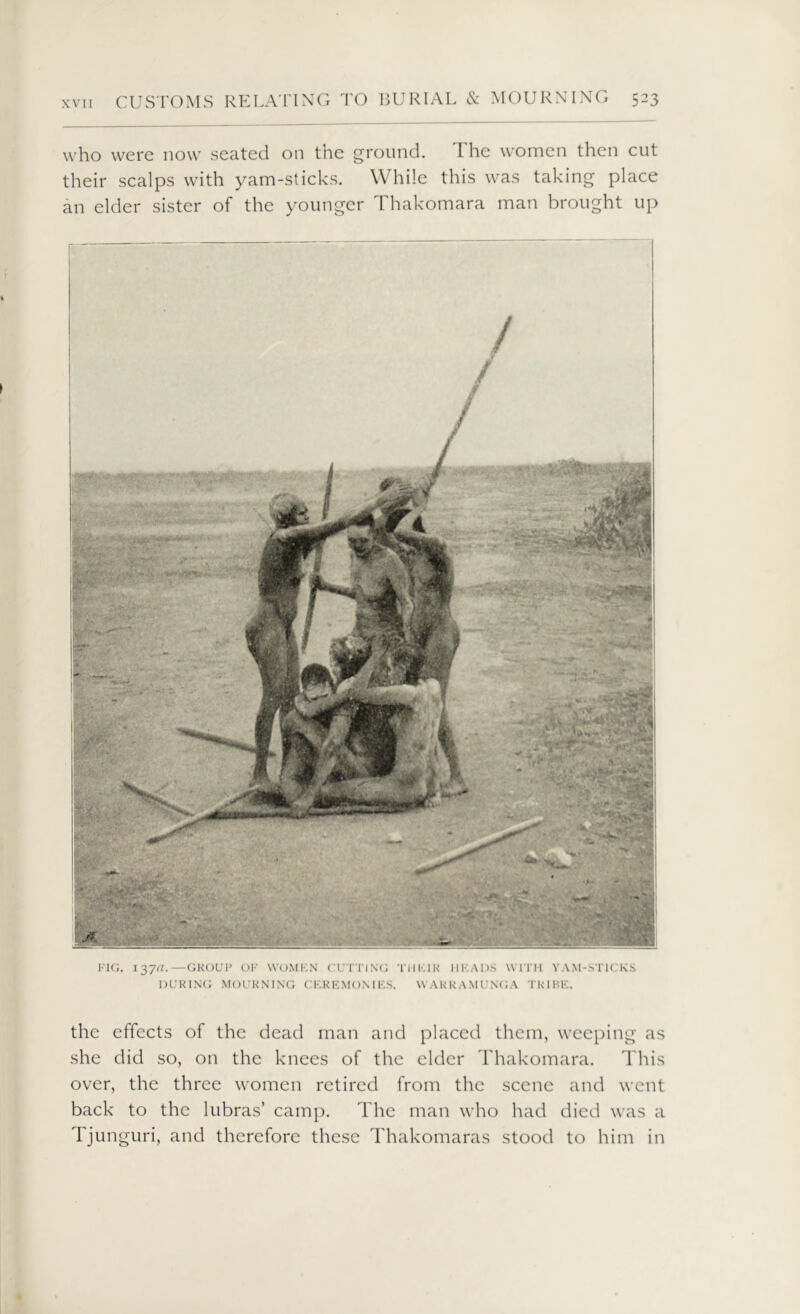 who were now seated on the ground. The women then cut their scalps with yam-sticks. While this was taking place an elder sister of the younger Thakomara man brought up / / FIG. I37<7.—GROUP OF WOMEN CUTTING T11KIR HF.ADS WITH YAM-STICKS DURING MOURNING CEREMON IKS. UARRAMUNGA TRIBE. the effects of the dead man and placed them, weeping as she did so, on the knees of the elder Thakomara. This over, the three women retired from the scene and went back to the 1 ubras’ camp. The man who had died was a Tjunguri, and therefore these Thakomaras stood to him in