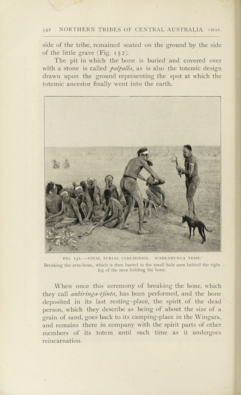 side of the tribe, remained seated on the ground by the side of the little grave (Fig. i 52). The pit in which the bone is buried and covered over with a stone is called palpalla, as is also the totemic design drawn upon the ground representing the spot at which the totemic ancestor finally went into the earth. FIG. 151.—FINAL BURIAL CEREMONIES. WARRAMUNGA TRIBE. Breaking the arm-bone, which is then buried in the small hole seen behind the right leg of the man holding the bone. When once this ceremony of breaking the bone, which they call anbiringa-tjinta, has been performed, and the bone deposited in its last resting-place, the spirit of the dead person, which they describe as being of about the size of a grain of sand, goes back to its camping-place in the Wingara, and remains there in company with the spirit parts of other members of its totem until such time as it undergoes reincarnation.