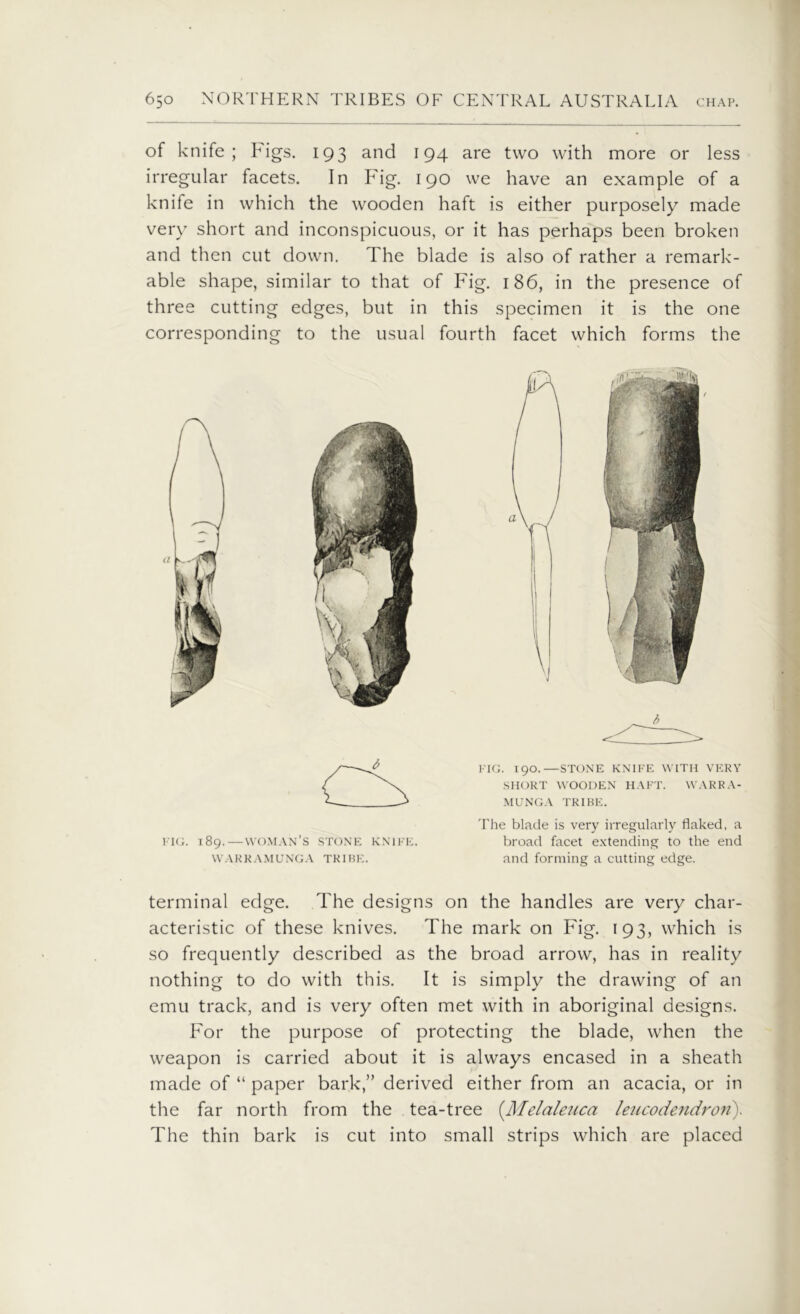 of knife; Figs. 193 and 194 are two with more or less irregular facets. In Fig. 190 we have an example of a knife in which the wooden haft is either purposely made very short and inconspicuous, or it has perhaps been broken and then cut down. The blade is also of rather a remark- able shape, similar to that of Fig. 186, in the presence of three cutting edges, but in this specimen it is the one corresponding to the usual fourth facet which forms the 'The blade is very irregularly flaked, a FIG. 189.—woman's STONE knife. broad facet extending to the end WARRAMUNGA TRIBE. and forming a cutting edge. terminal edge. The designs on the handles are very char- acteristic of these knives. The mark on Fig. 193, which is so frequently described as the broad arrow, has in reality nothing to do with this. It is simply the drawing of an emu track, and is very often met with in aboriginal designs. For the purpose of protecting the blade, when the weapon is carried about it is always encased in a sheath made of “ paper bark,” derived either from an acacia, or in the far north from the tea-tree (.Melaleuca leucodendron). The thin bark is cut into small strips which are placed