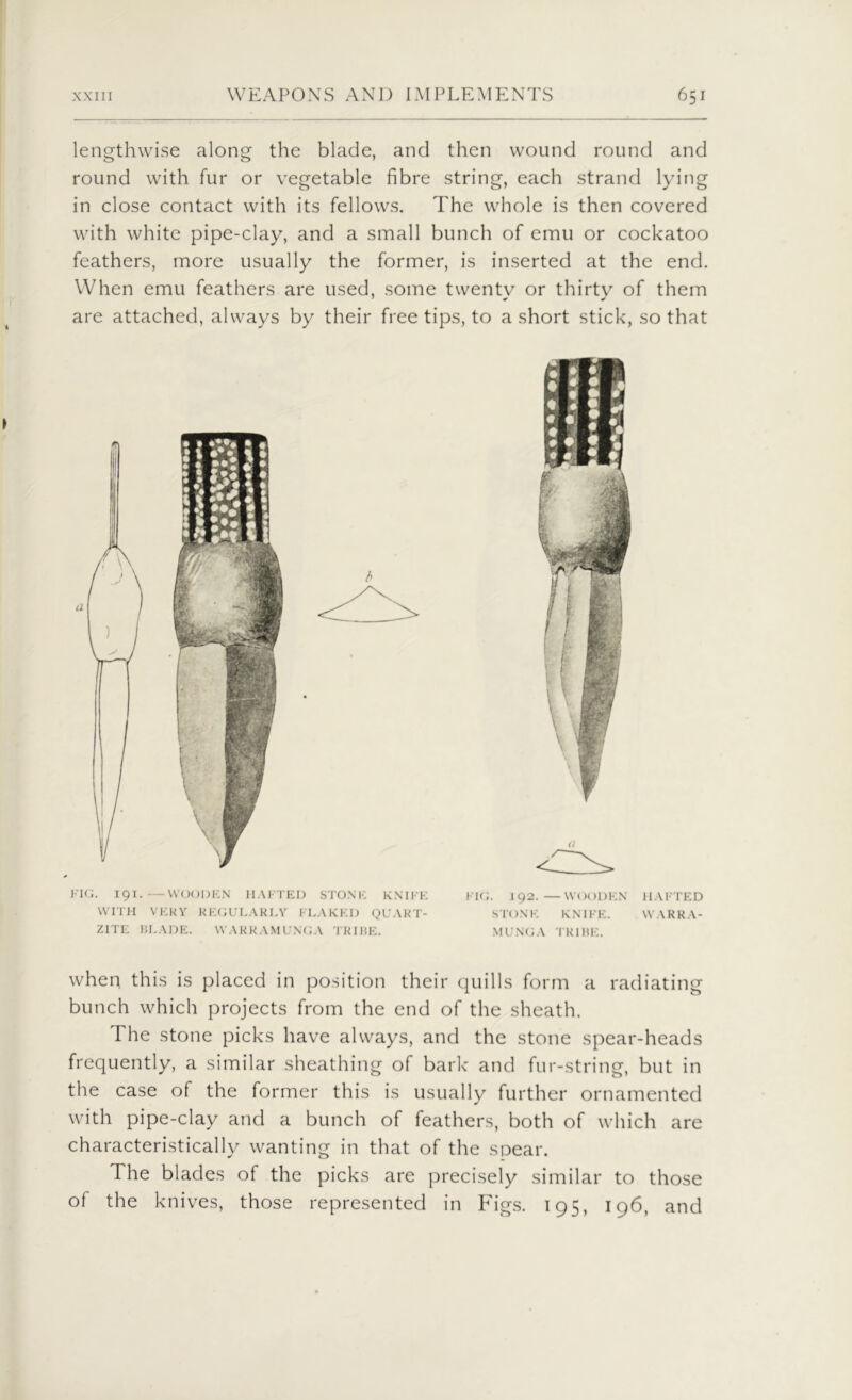 lengthwise along the blade, and then wound round and round with fur or vegetable fibre string, each strand lying in close contact with its fellows. The whole is then covered with white pipe-clay, and a small bunch of emu or cockatoo feathers, more usually the former, is inserted at the end. When emu feathers are used, some twentv or thirty of them are attached, always by their free tips, to a short stick, so that a b FIG. 191.—WOODEN HAFTED STONE KNIFE WITH VERY REGULARLY FLAKED QUART- ZITE BLADE. VVARRAMUNGA TRIBE. FIG. 192. —WOODEN HAFTED STONE KNIFE. WARRA- MUNGA TRIBE. when this is placed in position their quills form a radiating bunch which projects from the end of the sheath. The stone picks have always, and the stone spear-heads frequently, a similar sheathing of bark and fur-string, but in the case of the former this is usually further ornamented with pipe-clay and a bunch of feathers, both of which are characteristically wanting in that of the spear. d he blades of the picks are precisely similar to those of the knives, those represented in Figs. 195, 196, and