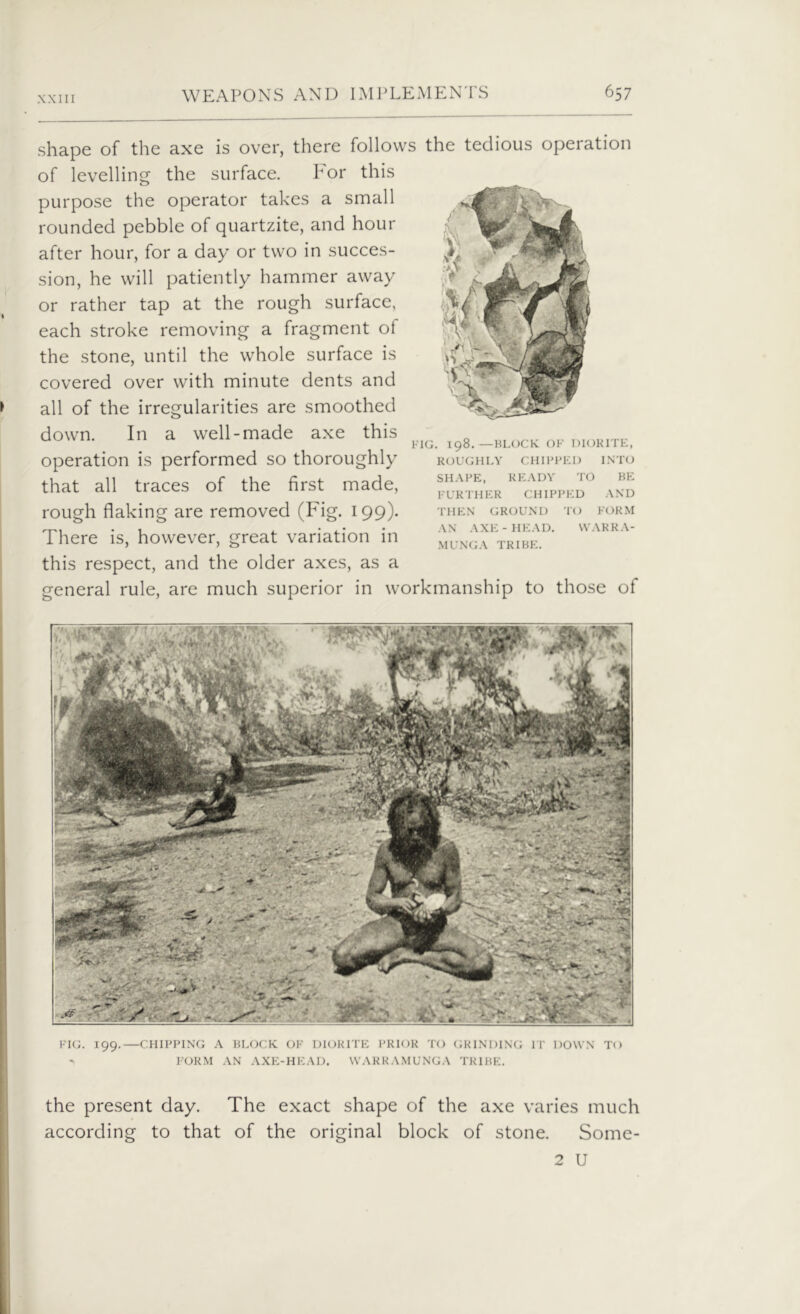 shape of the axe is over, there follows the tedious operation of levelling the surface. For this purpose the operator takes a small rounded pebble of quartzite, and hour after hour, for a day or two in succes- sion, he will patiently hammer away or rather tap at the rough surface, each stroke removing a fragment of the stone, until the whole surface is covered over with minute dents and all of the irregularities are smoothed down. In a well-made axe this operation is performed so thoroughly that all traces of the first made, rough flaking are removed (Fig. 199). There is, however, great variation in this respect, and the older axes, as a general rule, are much superior in workmanship to those of FIG. 198.—BLOCK OF DIORITE, ROUGHLY CHIPPED INTO SHAPE, READY TO BE FURTHER CHIPPED AND THEN GROUND TO FORM AN AXE-HEAD. WAR R A- MUNGA TRIBE. FIG. X99.—CHIPPING A BLOCK OF DIORITE PRIOR TO GRINDING IT DOWN TO FORM AN AXE-HEAD. WARRAMUNGA TRIBE. the present day. The exact shape of the axe varies much according to that of the original block of stone. Some-