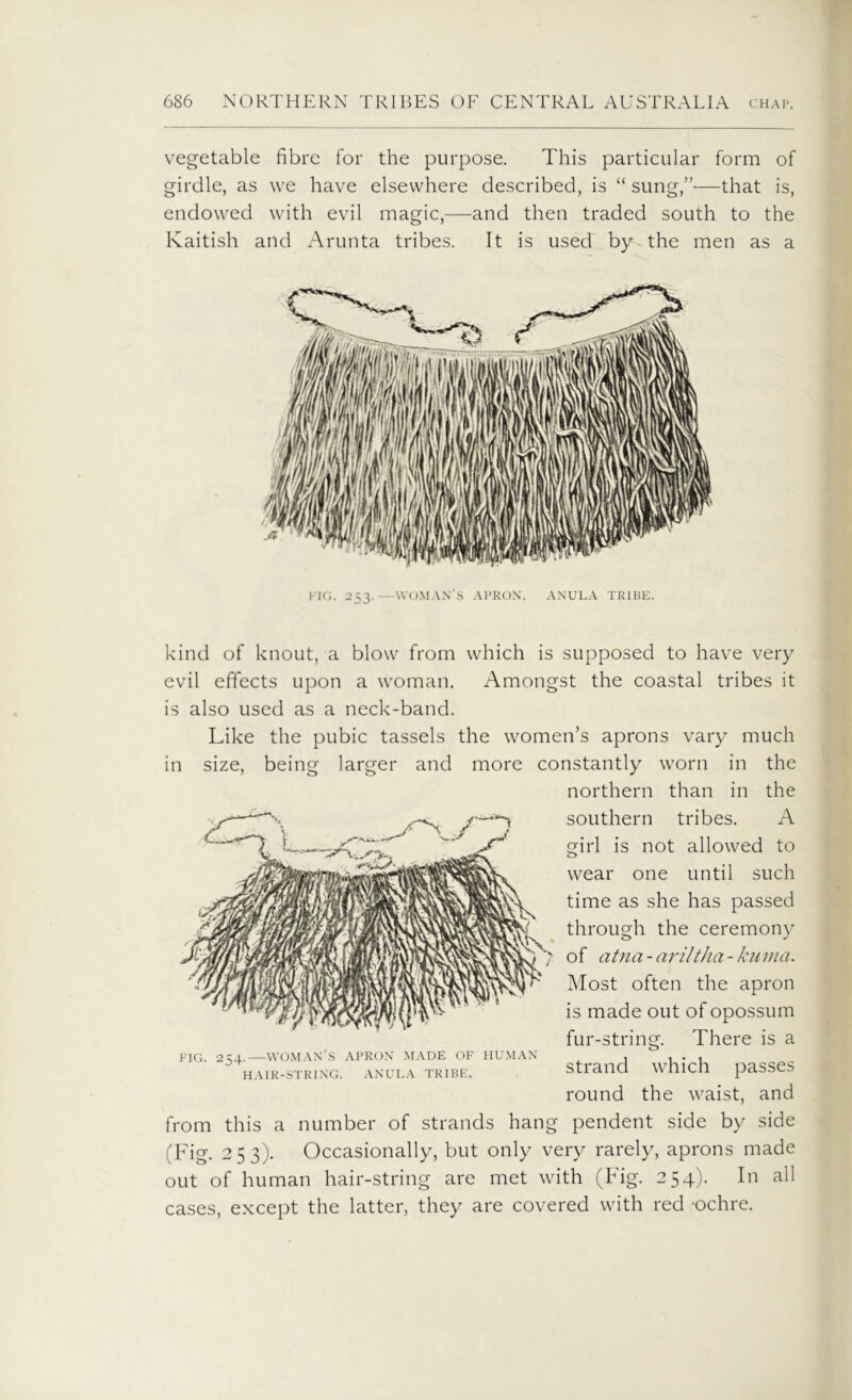 vegetable fibre for the purpose. This particular form of girdle, as we have elsewhere described, is “ sung,”—that is, endowed with evil magic,—and then traded south to the Kaitish and Arunta tribes. It is used by the men as a FIG. 253.—WOMAN’S APRON. ANULA TRIBE. kind of knout, a blow from which is supposed to have very evil effects upon a woman. Amongst the coastal tribes it is also used as a neck-band. Like the pubic tassels the women’s aprons vary much in size, being larger and more constantly worn in the northern than in the southern tribes. A girl is not allowed to wear one until such time as she has passed through the ceremony of atna- ariltha - kuma. Most often the apron is made out of opossum fur-string. There is a strand which passes round the waist, and from this a number of strands hang pendent side by side (Fig. 253). Occasionally, but only very rarely, aprons made out of human hair-string are met with (Fig. 254). In all cases, except the latter, they are covered with red -ochre. FIG. 254.—WOMAN’S APRON MADE OF HUMAN HAIR-STRING. ANULA TRIBE.