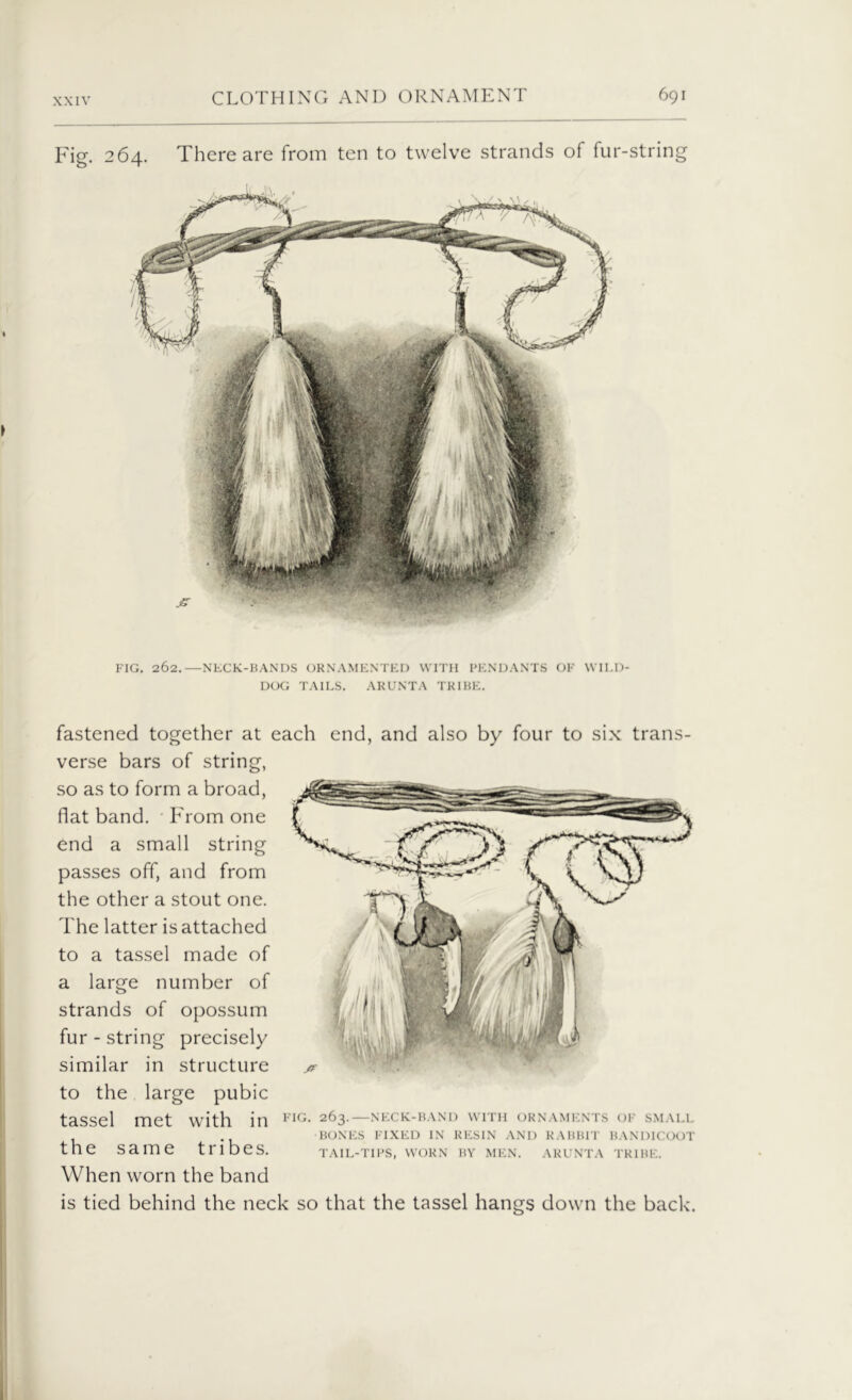 Fig. 264. There are from ten to twelve strands of fur-string FIG. 262.—NECK-BANDS ORNAMENTED WITH PENDANTS OF WILD- DOG TAILS. ARUNTA TRIBE. fastened together at each end, and also by four to six trans- verse bars of string, so as to form a broad, flat band. From one end a small string passes off, and from the other a stout one. The latter is attached to a tassel made of a large number of strands of opossum fur - string precisely similar in structure to the large pubic tassel met with in FIG- 263-—neck-band with ornaments of small BONES FIXED IN RESIN AND RABBIT BANDICOOT the same tribes. tail-tips, worn by men. arunta tribe. When worn the band is tied behind the neck so that the tassel hangs down the back.