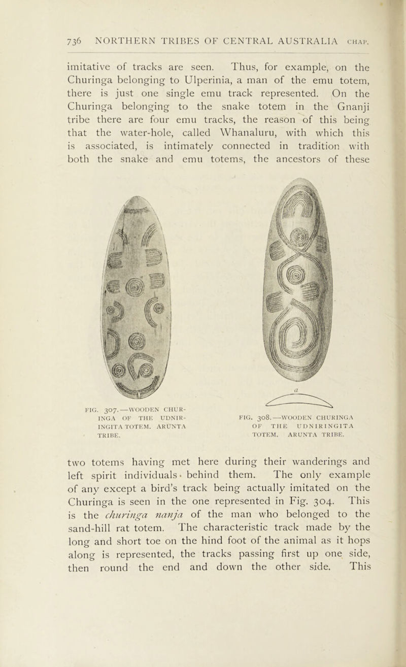 imitative of tracks are seen. Thus, for example, on the Churinga belonging to Ulperinia, a man of the emu totem, there is just one single emu track represented. On the Churinga belonging to the snake totem in the Gnanji tribe there are four emu tracks, the reason of this being that the water-hole, called Whanaluru, with which this is associated, is intimately connected in tradition with both the snake and emu totems, the ancestors of these FIG. 307.—WOODEN CHUR- INGA OF THE UDNIR- INGITA TOTEM. ARUNTA TRIBE. a FIG. 308.—WOODEN CHURINGA OF THE UDNIRINGITA TOTEM. ARUNTA TRIBE. two totems having met here during their wanderings and left spirit individuals* behind them. The only example of any except a bird’s track being actually imitated on the Churinga is seen in the one represented in Fig. 304. This is the churinga nanja of the man who belonged to the sand-hill rat totem. The characteristic track made by the long and short toe on the hind foot of the animal as it hops along is represented, the tracks passing first up one side, then round the end and down the other side. This