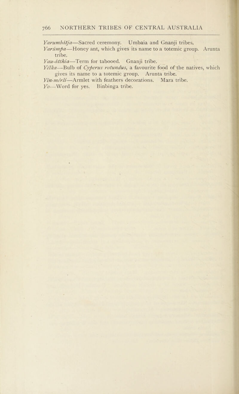 Yannnbdtja—Sacred ceremony. Urnbaia and Gnanji tribes. Yarumpa—Honey ant, which gives its name to a totemic group. Arunta tribe. Yau-dtthia—Term for tabooed. Gnanji tribe. Yelka—Bulb of Cyperus rotundus, a favourite food of the natives, which gives its name to a totemic group. Arunta tribe. Yin-mcrli—Armlet with feathers decorations. Mara tribe. Yo—Word for yes. Binbinga tribe.