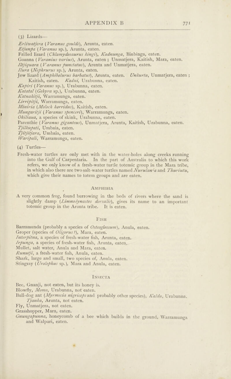 (3) Lizards— Erliwatjera (Varaniis gouldi), Arunta, eaten. Eljunpa ( Varanus sp.), Arunta, eaten. Frilled lizard (Chlamydosaurus kingi), Kadnunga, Binbinga, eaten. Goanna (Varanius varius), Arunta, eaten ; Unmatjera, Kaitish, Mara, eaten. Iltjiquara (Varanuspunctatus), Arunta and Unmatjera, eaten. Ilura (Nephrurus sp.), Arunta, eaten. Jew lizard (Amphibolurus barbatus), Arunta, eaten. Unkurta, Unmatjera, eaten ; Kaitish, eaten. Kadni, Urabunna, eaten. Kapiri (Varanus sp.), Urabunna, eaten. Katatal (Gehyra sp.), Urabunna, eaten. Katnakitji, Warramunga, eaten. Lirripitji, Warramunga, eaten. Miniria (Moloch horridus), Kaitish, eaten. Mungaritji ( Varanus spenceri), Warramunga, eaten. Okiliaua, a species of skink, Urabunna, eaten. Parenthie (Varanus giganteus), Unmatjera, Arunta, Kaitish, Urabunna, eaten. Tjilkupati, Umbaia, eaten. Tjitjitjara, Umbaia, eaten. Waripali, Warramunga, eaten. (4) Turtles— Fresh-water turtles are only met with in the water-holes along creeks running into the Gulf of Carpentaria. In the part of Australia to which this work refers, we only know of a fresh-water turtle totemic group in the Mara tribe, in which also there are two salt-water turtles named Nurulaira and Thuriutu, which give their names to totem groups and are eaten. Amphibia A very common frog, found burrowing in the beds of rivers where the sand is slightly damp (Limnodynastes dorsalis), gives its name to an important totemic group in the Arunta tribe. It is eaten. Fish Barramunda (probably a species of Osteoglossmn), Anula, eaten. Groper (species of Oligorusl), Mara, eaten. Interpitna, a species of fresh-water fish, Arunta, eaten. Irpunga, a species of fresh-water fish, Arunta, eaten. Mullet, salt water, Anula and Mara, eaten. Runutji, a fresh-water fish, Anula, eaten. Shark, large and small, two species of, Anula, eaten. Stingray (Urolophus sp.), Mara and Anula, eaten. Insecta Bee, Gnanji, not eaten, but its honey is. Blowfly, Momo, Urabunna, not eaten. Bull-dog ant (Myrmecia nigriceps and probably other species), h'aldu, Urabunna. Tjanka, Arunta, not eaten. Fly, Unmatjera, not eaten. Grasshopper, Mara, eaten. Gnungapunna, honeycomb of a bee which builds in the ground, Warramunga and Walpari, eaten.