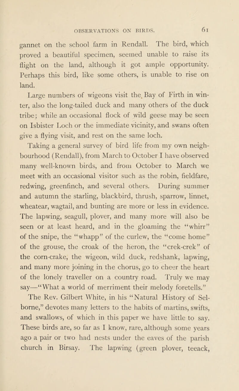 gannet on the school farm in Rendall. The bird, which proved a beautiful specimen, seemed unable to raise its flight on the land, although it got ample opportunity. Perhaps this bird, like some others, is unable to rise on land. Large numbers of wigeons visit the. Bay of Firth in win- ter, also the long-tailed duck and many others of the duck tribe; while an occasional flock of wild geese may be seen on Isbister Loch (jr the immediate vicinity, and swans often give a flying visit, and rest on the same loch. 'Faking a general survey of bird life from my own neigh- bourhood (Rendall), from March to October I have observed many well-known birds, and from October to March we meet with an occasional visitor such as the robin, fieldfare, redwing, greenfinch, and several others. During summer and autumn the starling, blackbird, thrush, sparrow, linnet, wheatear, wagtail, and bunting are more or less in evidence. The lapwing, seagull, plover, and many more will also be seen or at least heard, and in the gloaming the “whirr” of the snipe, the “whapp” of the curlew, the “come home” of the grouse, the croak of the heron, the “crek-crek” of the corn-crake, the wigeon, wild duck, redshank, lapwing, and many more joining in the chorus, go to cheer the heart of the lonely traveller on a country road. 'Fruly we may say—“What a world of merriment their melody foretells.” The Rev. Gilbert WTite, in his “Natural History of Sel- borne,” devotes many letters to the habits of martins, swifts, and swallows, of which in this paper we have little to say. These birds are, so far as I know, rare, although some years ago a pair or two had nests under the eaves of the parish church in Birsay. 'Fhe lapwing (green plover, teeack,