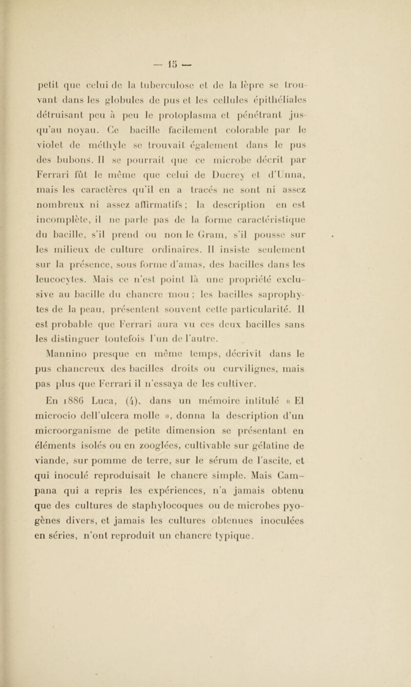 petit que celui de la tuberculose et de la lèpre se trou vaut dans les globules de pus el les cellules épithéliales détruisant peu à peu le protoplasma et pénétrant jus- qu’au noyau. Ce bacille facilement colorable par le violet de méthyle se trouvait également dans le pus des bubons. Il se pourrait (pie ce microbe décrit par Ferrari lut le même que celui de Ducre^ et d’Unna, mais les caractères qu'il en a tracés ne sont ni assez nombreux ni assez affirmatifs; la description en est incomplète, il ne parle pas de la forme caractéristique du bacille, s'il prend ou non le (îram, s'il pousse sur les milieux de culture ordinaires. Il insiste seulement sur la présence, sous forme d’amas, des bacilles dans les leucocytes. .Mais ce n’est point là une propriété exclu- sive au bacille du chancre mou ; les bacilles saprophy- tes de la peau, présentent souvent celle particularité, il est probable (pie Ferrari aura vu ces deux bacilles sans les distinguer toutefois l'un de l’autre. Mannino presque en même temps, décrivit dans le pus chancreux des bacilles droits ou curvilignes, mais pas plus que Ferrari il n’essaya de les cultiver. En 188G Luca, (4), dans un mémoire intitulé « El microcio dell'ulcera molle », donna la description d’un microorganisme de petite dimension se présentant en éléments isolés ou en zooglées, cultivable sur gélatine de viande, sur pomme de terre, sur le sérum de l’ascite, et qui inoculé reproduisait le chancre simple. Mais Cam- pana qui a repris les expériences, n’a jamais obtenu que des cultures de staphylocoques ou de microbes pyo- gènes divers, et jamais les cultures obtenues inoculées en séries, n'ont reproduit un chancre typique.