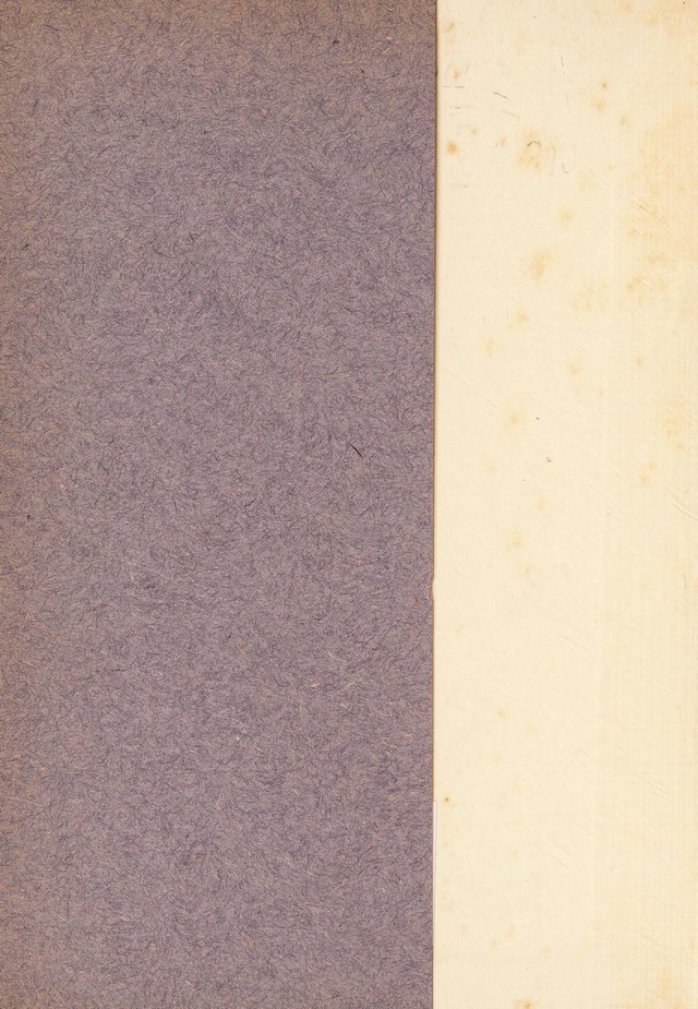 digitised image 2