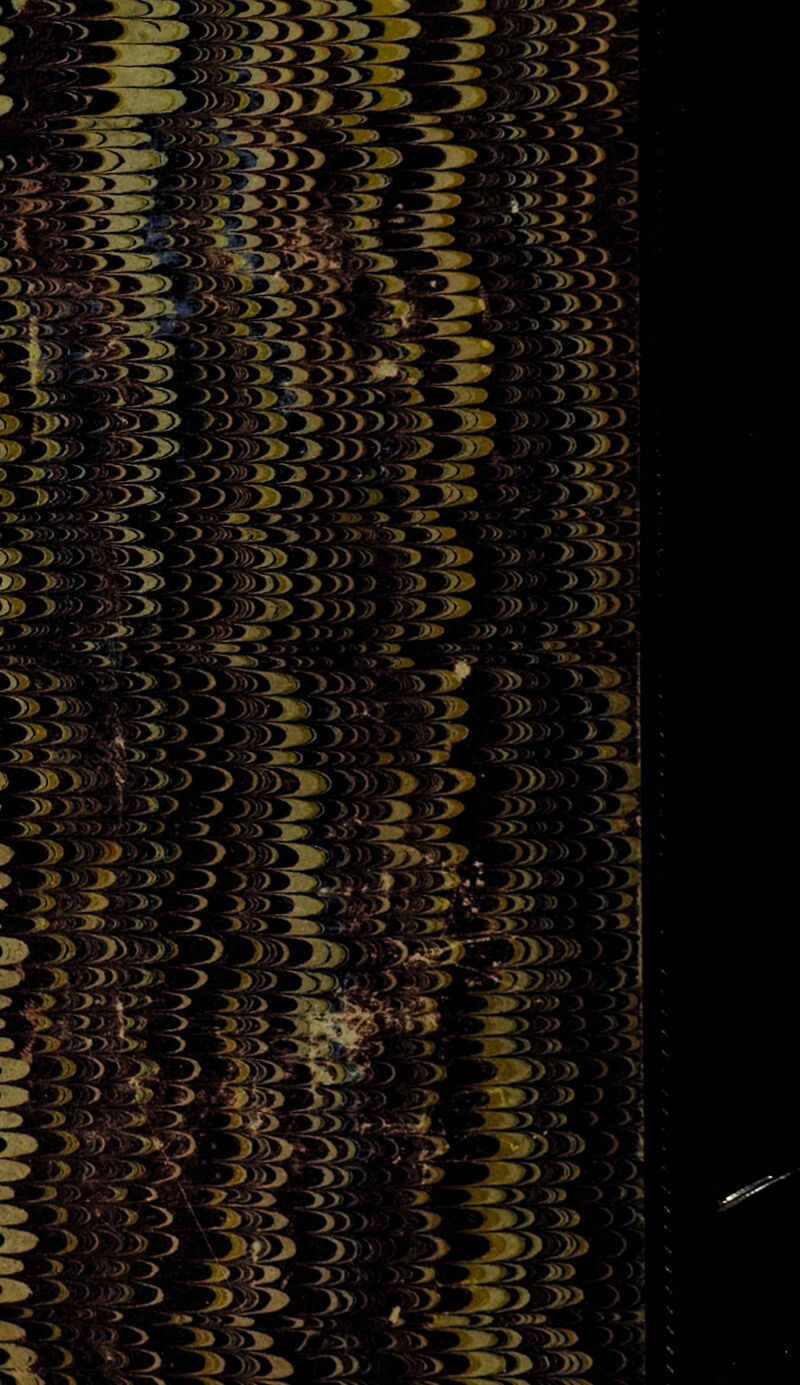 XJ> >3 - »J>'> > ■> > > > > »>) > >  >> <■'- :> > »> > ;Os>> > >3>» ’ ■a » > > S' 2>:s» > >■!>> ' »:> ? ■ '».»:>> 7- ■» >'» »• y y>y : >■ >^V V ■>!£)> ' »:>' 3> » > >' »» > ■3> T» • > 1 .. >^'i >. »1 »■> '»>ii )> >» ' » i» ji» y» »» :»> '3»
