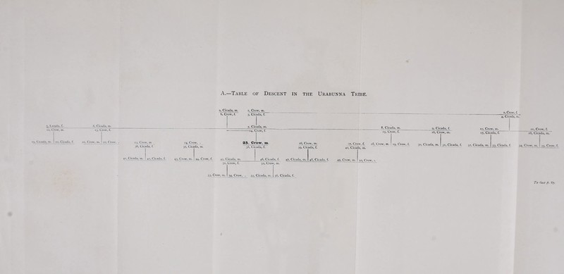 A.—Table of Descent in the Urabunna Tribe. 5, Cicada, f. 6. Cicada, m. 12, Crow, m. 13, Crow, f. I JO, Cicada, m. 20. Cicada, f. 21, Crow, m. | 22, Crow, . 23, Crow, m 36, Cicada, f. a, Cicada, m. i, Crow, m. b, Crow, f. 3, Cicada, f. 7, Cicada, m. -14, Crow, f. 24, Crow, . 37, Cicada, m. 25, Crow, m. 38, Cicada, f. 26, Crow, m. 41, Cicada, m. 42, Cicadn, f. 43, Crow, m. | 44, Crow, f. 45, Cicada, m 51, Crow, f. 39, Cicada, f. 8, Cicada, m. IS, Crow, f. 27, Crow, f. 28, Crow, 40, Cicada, m. 46, Cicada, f. 47, Cicada, m. 48, Cicada, f. 49, Crow, m. 50, Crow 52, Crow, m. 2, Crow, f. 4, Cicada, m. 9, Cicada, f. 16, Crow, m. 10, Crow, m. 17, Cicada, f. 11, Crow, r. “?> Crow, 30, Cicada, m. 31, Cicada, f. 32, Cicada, m. 33, Cicada, f. 18, Cicada, ql 34, Crow, m. 35, Crow. f. 53, Crow, m. 54, Crow, . 55, Cicada, m. 56, Cicada, f. To face /. 67.