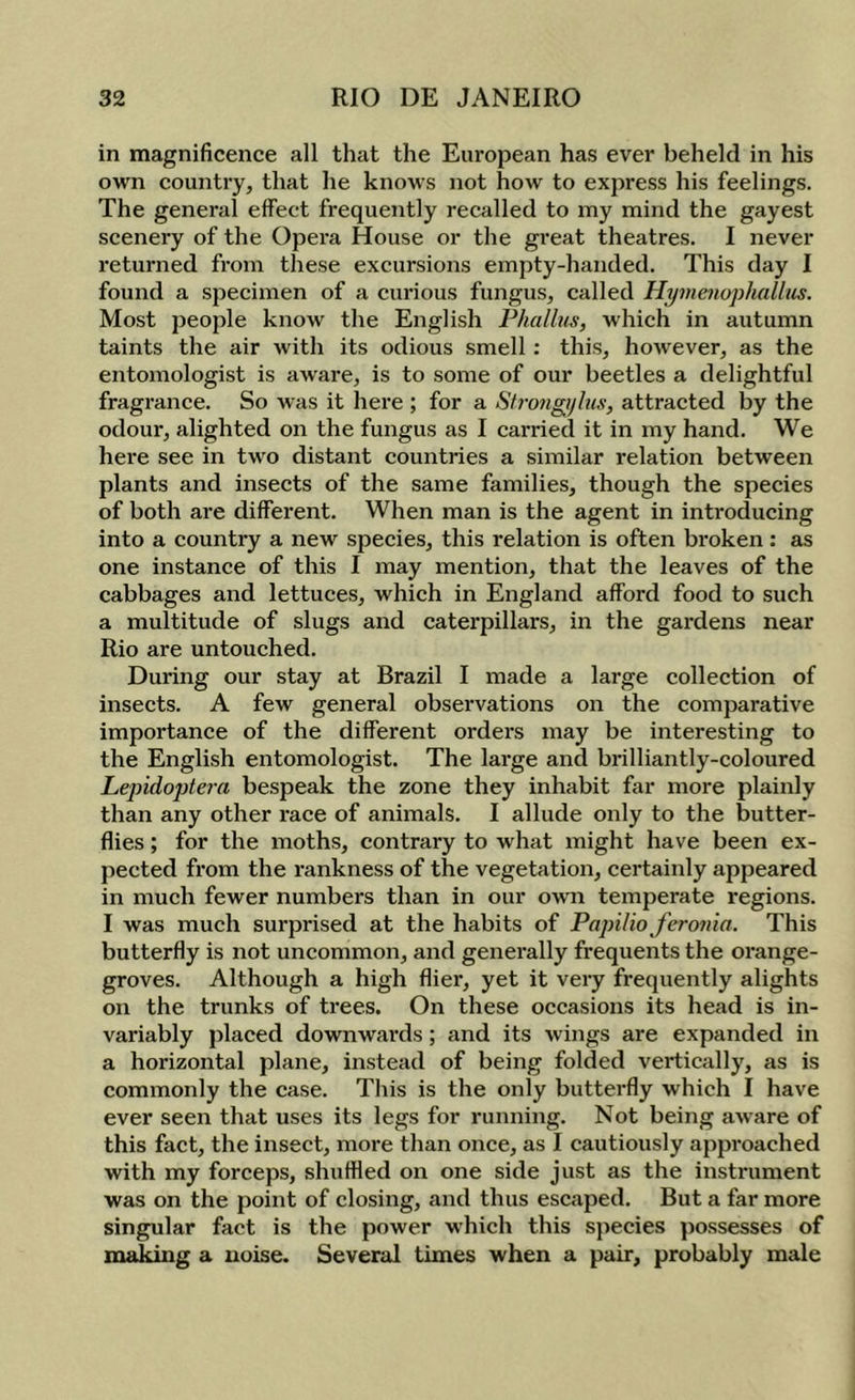 in magnificence all that the European has ever beheld in his own country, that he knows not how to express his feelings. The general effect frequently recalled to my mind the gayest scenery of the Opera House or the great theatres. I never returned from these excursions empty-handed. This day I found a specimen of a curious fungus, called Hymenophallus. Most people know the English Phallus, which in autumn taints the air with its odious smell : this, however, as the entomologist is aware, is to some of our beetles a delightful fragrance. So was it here ; for a Strongylus, attracted by the odour, alighted on the fungus as I carried it in my hand. We here see in two distant countries a similar relation between plants and insects of the same families, though the species of both are different. When man is the agent in introducing into a country a new species, this relation is often broken : as one instance of this I may mention, that the leaves of the cabbages and lettuces, which in England afford food to such a multitude of slugs and caterpillars, in the gai'dens near Rio are untouched. During our stay at Brazil I made a large collection of insects. A few general observations on the comparative importance of the different orders may be interesting to the English entomologist. The large and brilliantly-coloured Lepidoptera bespeak the zone they inhabit far more plainly than any other race of animals. I allude only to the butter- flies ; for the moths, contrary to what might have been ex- pected from the rankness of the vegetation, certainly appeared in much fewer numbers than in our own temperate regions. I was much surprised at the habits of Papilio feronia. This butterfly is not uncommon, and genei’ally frequents the orange- groves. Although a high flier, yet it very frequently alights on the trunks of trees. On these occasions its head is in- variably placed downwards; and its wings are expanded in a horizontal plane, instead of being folded vertically, as is commonly the case. This is the only butterfly which I have ever seen that uses its legs for running. Not being aware of this fact, the insect, more than once, as I cautiously approached with my forceps, shuffled on one side just as the instrument was on the point of closing, and thus escaped. But a far more singular fact is the power which this species possesses of making a noise. Several times when a pair, probably male