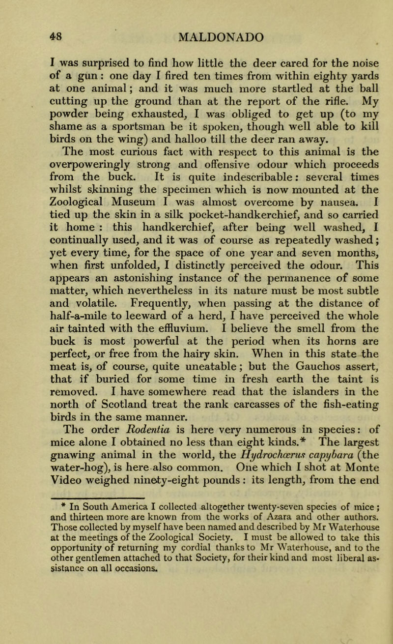 I was surprised to find how little the deer cared for the noise of a gun: one day I fired ten times from within eighty yards at one animal; and it was much more startled at the ball cutting up the ground than at the report of the rifle. My powder being exhausted^ I was obliged to get up (to my shame as a sportsman be it spoken^ though well able to kill birds on the wing) and halloo till the deer ran away. The most curious fact with respect to this animal is the overpoweringly strong and offensive odour which proceeds from the buck. It is quite indescribable: several times whilst skinning the specimen which is now mounted at the Zoological Museum I was almost overcome by nausea. I tied up the skin in a silk pocket-handkerchief, and so carried it home : this handkerchief, after being well w'ashed, I continually used, and it was of course as repeatedly washed; yet every time, for the space of one year and seven months, when first unfolded, I distinctly perceived the odour. This appears an astonishing instance of the permanence of some matter, which nevertheless in its nature must be most subtle and volatile. Frequently, when passing at the distance of half-a-mile to leeward of a herd, I have perceived the whole air tainted with the effluvium. I believe the smell from the buck is most powerful at the period when its horns are perfect, or free from the hairy skin. When in this state the meat is, of course, quite uneatable; but the Gauchos assert, that if buried for some time in fresh earth the taint is removed. I have somewhere read that the islanders in the north of Scotland treat the rank carcasses of the fish-eating birds in the same manner. The order Rodentia is here very numerous in species: of mice alone I obtained no less than eight kinds.* The largest gnawing animal in the world, the Hydrochoeru.i capybara (the water-hog), is here also common. One which I shot at Monte Video weighed ninety-eight pounds : its length, from the end * In South America I collected altogether twenty-seven species of mice; and thirteen more are known from the works of Azara and other authors. Those collected by myself have been named and described by Mr Waterhouse at the meetings of the Zoological Society. I must be allowed to take this opportunity of returning my cordial thanks to Mr Waterhouse, and to the other gentlemen attached to that Society, for their kind and most liberal as- sistance on all occasions.