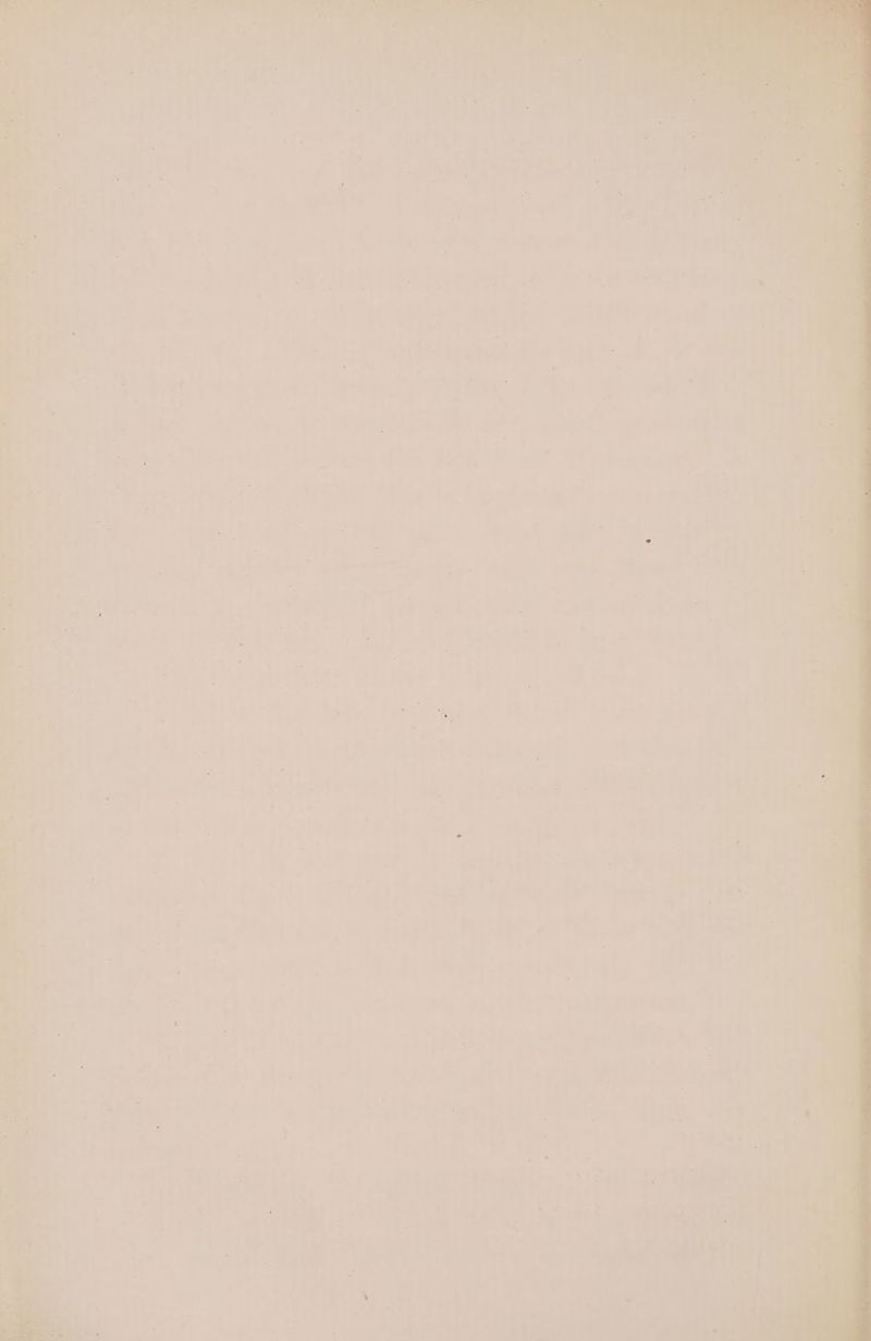 i. a4 .p dod ite . Whe ns i yt i ai et aie Bis ; ee,’ a tite: ar ae im a ° va