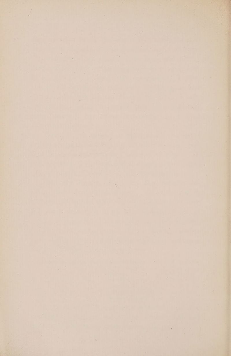 TA. , oe nt a ie han” Soe 4