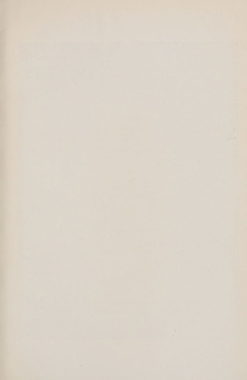 2 > % +=. rs ey r ' | : | | | _ : | t 4, 1 A | = 7 | . \ | i \ : | . | | oad i 1 ; ; “ - re ; f . . | - as : e a ' ; ; | : ‘ ~ . : | j + cS , : r ~ 7 | | tee ; | | | = > | | | be = a - | | | le. i) ; | } ; | A A, | | - hon - : x . | ] ae -_ Te, ' | ; : eel a : - ie y 4 J : . ; ; ; t | F a> i is ‘ - . : a | V i a - » \ = : F ee , ; | o 3 | | | \ Satie | | . 7 F 1 a3 os 7 Ly f : 7 ® a ¢ -