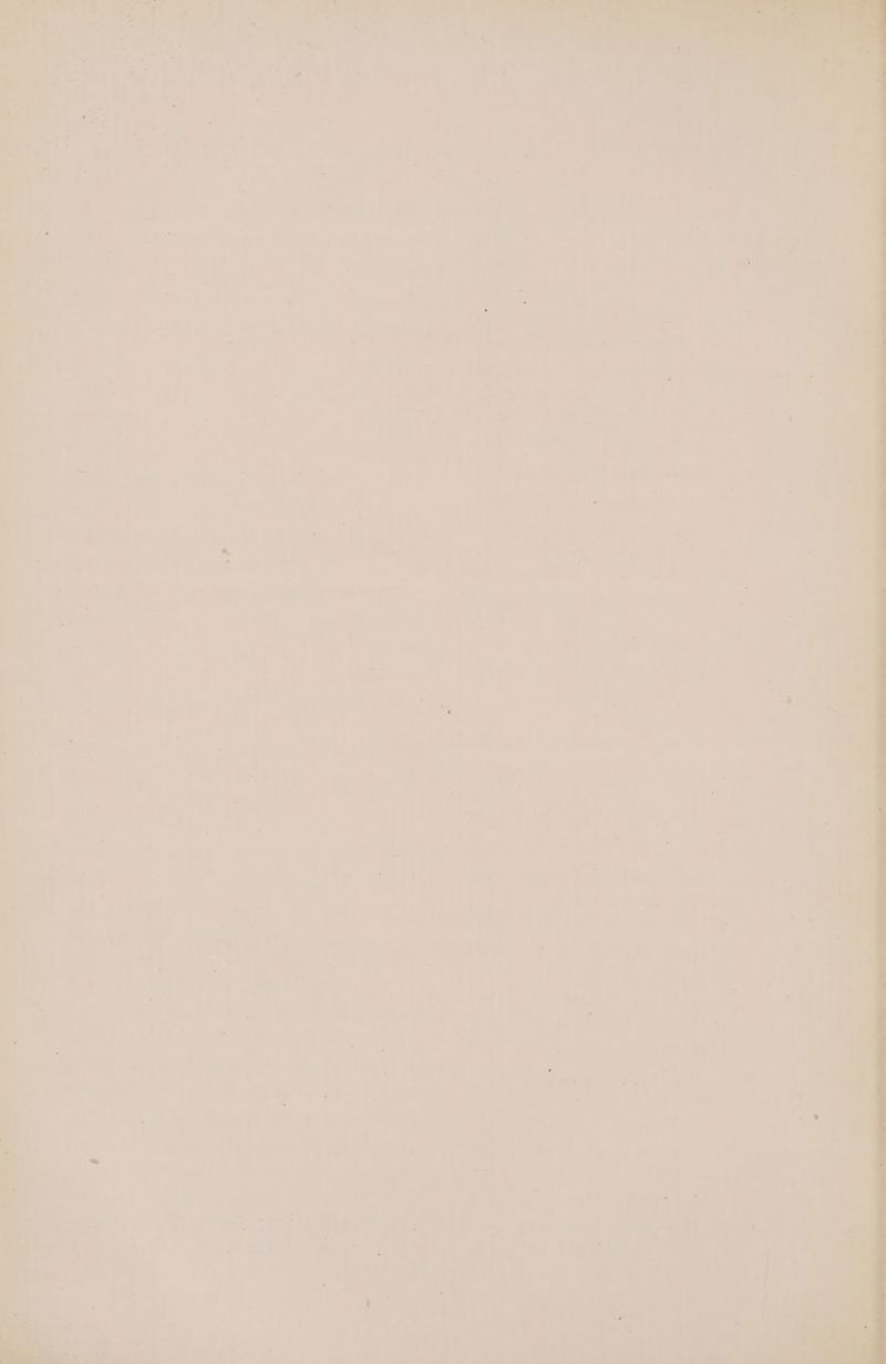 is Fe coklaaee ae r a . : ao aay tt e i. Ty}. Se? be , oT he . eS ae