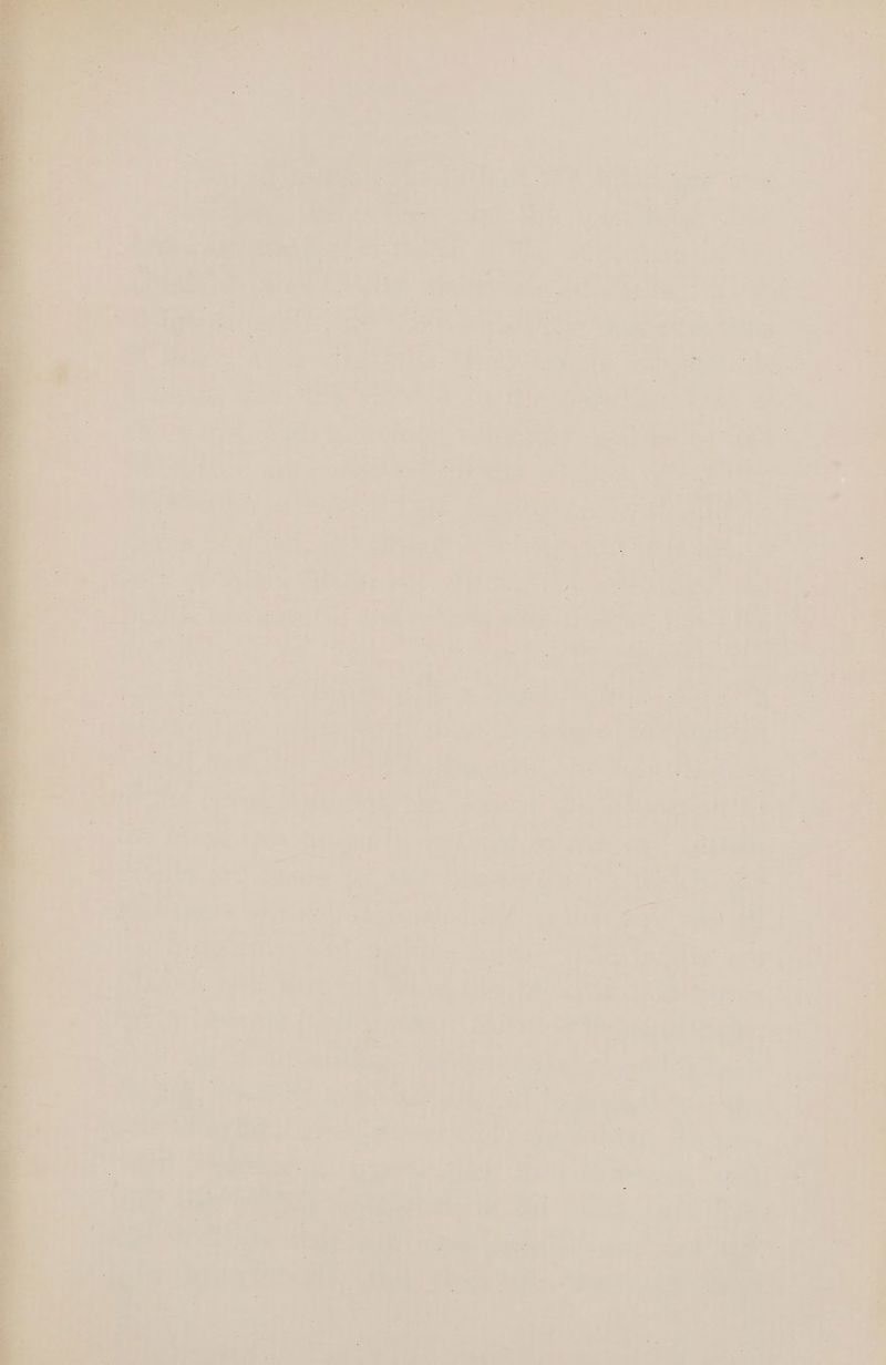 se fy ge a ; : Ae oP “Fe , oe § roo, a : 4 ae te ot Poet ioe ers a a . Ros MS aes i a . i. 5 a7. 7 =n , - s '<) * : P eet Mey: 7 ee te hd ed mks Perry | _ ; 5 - «< ai Ete: a
