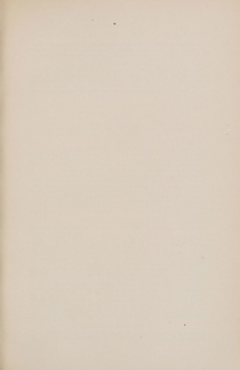 eters He ‘3 e's is : cee | a + y ; ; ' aia iar ~y ; - + ) ai = i — . r ‘ 7 a 5 : ee | aa o : 7 ;