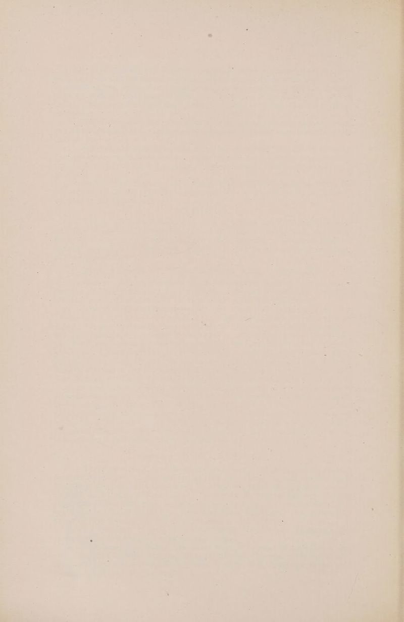 >’ s «aie a ry « ie + eer . aia a 25 os + ' * Z * ‘ * cal ——- > v- bs —— > a “Me 7 a 4 ¢ fb: a ri rs 7 - * et F 4 _ 7 -, os - » = s ee Ce it mag Ved es a ‘2 il ‘ hs a i f * Vee + “y @ i= a <9 ia vr —e a » ~ eh eo ; * « 7 ay pe v2 has = Z = oc . a es eg é ae. i ta ‘ + % 4 | P = = - = oF 5 od ss 7 = i ~ 7 he . 3 “ : * . -¥ fs a7 = S e a s “ : 3 > “ :- 1 of 7 r - BS 3 - oa > by x ant =. - 7 shea i~ = & 4 oe s “ = 7. <=) = a “a ag ¥ 4 4 eee 7 om = r ee Me : . ? L — S ¢ eT F es es bee -_ Mies: iY 4 eee oe