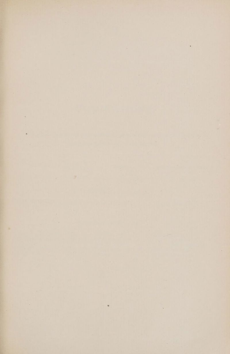 ao ag. - ay ; ie s ; as Cae