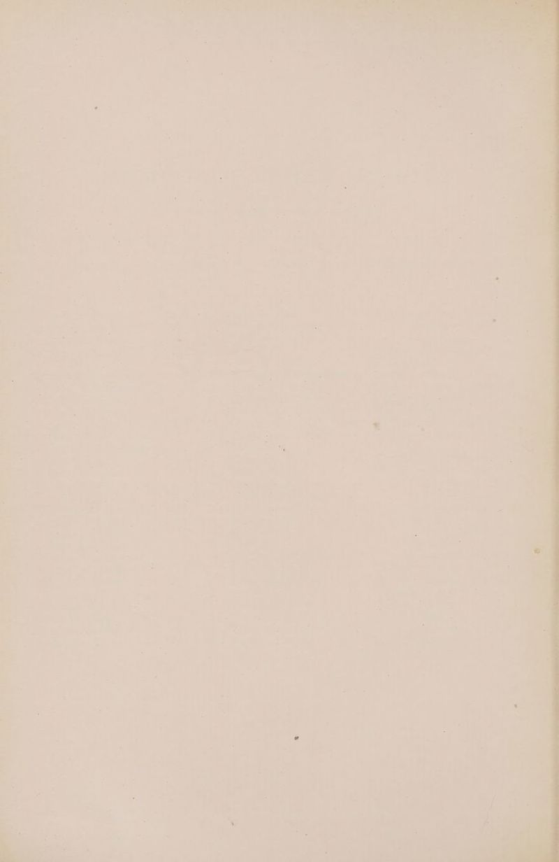 | rae, . a. ). ie | 2 - i.