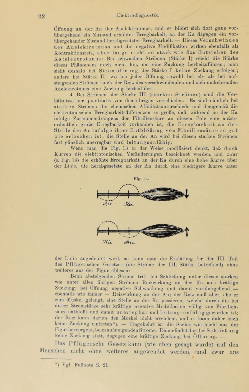 Öffnung an der An der Anelektrotouus, und es bildet sich dort ganz vor- übergehend ein Zustand erhöhter Erregbarkeit, an der Ka dagegen ein vor- übergehender Zustand herabgesetzter Erregbarkeit. — Dieses Verschwinden des Anelektrotonus und die negative Modifikation wirken ebenfalls als Kontraktiousreiz, aber lange nicht so stark wie das Entstehen des Katelektrotonus: Bei schwachen Strömen (Stärke I) reicht die Stärke dieses Phänomens noch nicht hin, um eine Zuckung herbeizuführen; man sieht deshalb bei Stromöffnung der Stärke I keine Zuckung erfolgen; anders bei Stärke II, wo bei jeder Öffnung sowohl bei ab- als bei auf- steigenden Strömen auch der Reiz des verschwindenden und sich umkehrenden Anelektrotonus eine Zuckung herbeiführt. 4. Bei Strömen der Stärke III (starken Strömen) sind die Ver- hältnisse nur quantitativ von den übrigen verschieden. Es sind nämlich bei starken Strömen die chemischen Affinitätsunterschiede und demgemäß die elektrotonischeu Erregbarkeitsdifferenzen so große, daß, während au der Ka infolge Zusammendrängens der Fibrillensäure an diesem Pole eine außer- ordentlich große Erregbarkeit vorhanden ist, die Erregbarkeit an der Stelle der An infolge ihrer Entblößung von Fibrillensäure so gut wie erloschen ist: die Stelle an der An wird bei diesen starken Strömen fast gänzlich unerregbar und leitungsunfähig. Wenn man die Fig. 13 in der Weise modifiziert denkt, daß durch Kurven die elektrotonischen Veränderungen bezeichnet werden, und zwar (s. Fig. 14) die erhöhte Erregbarkeit an der Ka durch eine hohe Kurve über der Linie, die herabgesetzte an der An durch eine niedrigere Kurve unter Fig. 14. der Linie angedeutet wird, so kann man die Erklärung für den III. Teil des Pflügerschen Gesetzes (die Ströme der III. Stärke betreffend) ohne weiteres aus der Figur ablesen: Beim absteigenden Strome tritt bei Schließung unter diesen starken wie unter allen übrigen Strömen Reizwirkung an der Ka auf: kräftige Zuckung; bei ()ffnung negative Schwankung und damit vorübergehend — ebenfalls wie immer — Reizwirknng an der An; der Reiz muß aber, ehe er zum Muskel gelangt, eine Stelle an der Ka passieren, welche durch die bei dieser Stromstärke sehr kräftige negative Modifikation völlig von Fibrillen- säure entblößt und damit unerregbar und lei tungsu nfähig geworden ist: der Reiz kann darum den JMuskel nicht erreichen, und es kann daher auch keine Zuckung eintreten’’-). — Umgekehrt ist die Sache, wie leicht aus der Figur hervorgeht, beim aufsteigcnden Strome. Daher findet dort bei Schließung keine Zuckung statt, dagegen eine kräftige Zuckung bei Öffnung. — Das Pflügersclie Gesetz kann (tvie oben gesagt wurde) auf den Menschen niclit ohne weiteres angewendet werden, und zwar aus *) Vgl. Fußnote S. 21.