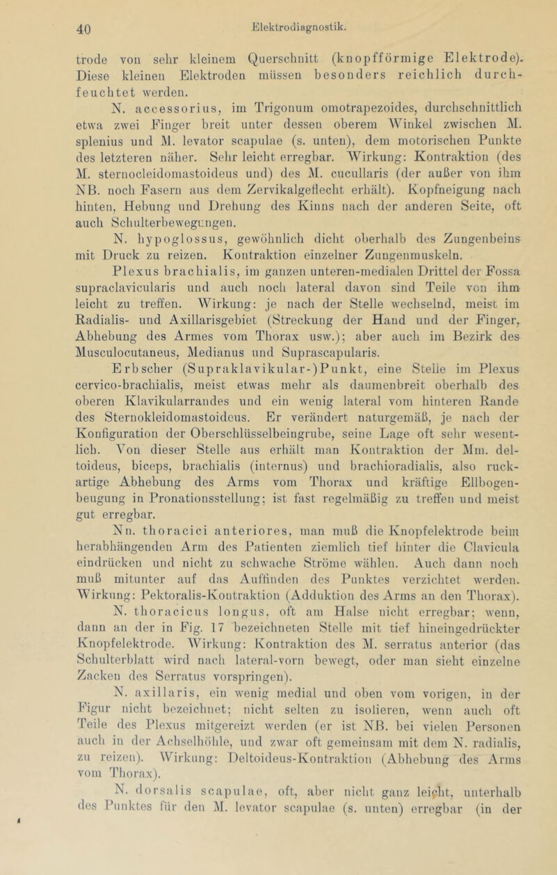 trode von sehr kleinem Querschnitt (knopfförmige Elektrode), Diese kleinen Elektroden müssen besonders reichlich durch- feuchtet ^Yerden. N. accessorius, im Trigonum omotrapezoides, durchschnittlich etwa zwei Finger breit unter dessen oberem Winkel zwischen M. spleuius und J\J. levator scapulae (s. unten), dem motorischen Punkte des letzteren näher. Sehr leicht erregbar. Wirkung: Kontraktion (des M. sternocleidomastoideus und) des M. cucullaris (der außer von ihm NB. noch Fasern aus dem ZervikalgeÜecht erhält). Kopfneigung nach hinten, Hebung und Drehung des Kinns nach der anderen Seite, oft auch Schulterhewegr.ngen. N. hypoglossus, gewöhnlich dicht oberhalb des Zungenbeina mit Druck zu reizen. Kontraktion einzelner Zungenmuskeln. Plexus brachialis, im ganzen unteren-medialen Drittel der Fossa supraclavicularis und auch noch lateral davon sind Teile von ihm leicht zu treffen. Wirkung: je nach der Stelle wechselnd, meist im Radialis- und Axillarisgebiet (Streckung der Hand und der Finger, Abhebung des Armes vom Thorax usw.); aber auch im Bezirk des Musculocutaneus, Medianus und Suprascapularis. Erb scher (Snpraklavikular-)Punkt, eine Stelle im Plexus cervico-brachialis, meist etwas mehr als daumenbreit oberhalb des oberen Klavikularrandes und ein wenig lateral vom hinteren Rande des Sternokleidomastoidcus. Er verändert naturgemäß, je nach der Konfiguration der Oberschlüsselbeiugrube, seine Lage oft sehr wesent- lich. Ton dieser Stelle aus erhält man Kontraktion der Mm. del- toideus, biceps, brachialis (internus) und brachioradialis, also ruck- artige Abhebung des Arms vom Thorax und kräftige Ellbogen- beugung in Pronationsstellung; ist fast regelmäßig zu treffen und meist gut erregbar. Nn. thoracici anteriores, man muß die Knopfelektrode beim herabhängenden Arm des Patienten ziemlich tief hinter die Clavicula eindrücken und nicht zu schwache Ströme wählen. Auch daun noch muß mitunter auf das Auffinden des Punktes verzichtet werden. Wirkung: Pektoralis-Koutraktion (Adduktion des Arms an den Thorax). N. thoracicus longus, oft am Halse nicht erregbar; wenn, dann an der in Fig. 17 bezeichneten Stelle mit tief hineingedrückter Knopfelektrode. Wirkung: Ivontraktion des M. serratus anterior (das Schulterblatt wird nach lateral-vorn bewegt, oder man sieht einzelne Zacken des Serratus vorspringen). N. axillaris, ein wenig medial und oben vom vorigen, in der Figur nicht bezeichnet; nicht selten zu isolieren, wenn auch oft Teile des Plexus mitgereizt werden (er ist NB. bei vielen Personen auch in der Achselhöhle, und zwar oft gemeinsam mit dem N. radialis, zu reizen). Wirkung: Deltoideus-Kontraktion (Abhebung des Arms vom Thorax). N. dorsalis scapulae, oft, aber nicht ganz leicht, unterhalb des Punktes für den M. levator scapulae (s. unten) erregbar (in der