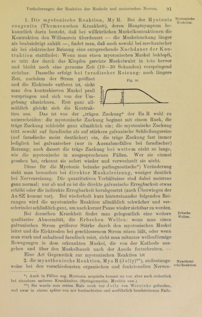 1. Die luyotonische Reaktion, My R. Bei der Myotonia congenita (Thomsensehen Krankheit), deren Hau])tsyinptoni be- kanntlich darin besteht, daß bei willkürlichen Muskelkontraktionen die Kontraktion den Willensreiz überdauert ■— die Muskelzuckung länger als beabsichtigt anhält —, findet man, daß auch sowohl bei mechanischer als bei elektrischer Reizung eine entsprechende Nachdauer der Kon- traktion stattfindet: AVenn man einen myotonischen Muskel beklopft, so tritt der durch das Klopfen gereizte Muskelwulst in toto hervor und bleibt noch eine geraume Zeit (10—30 Sekunden) vorspringend sichtbar. Dasselbe erfolgt bei faradischer geöffnet Zeit, nachdem der Strom und die Elektrode entfernt ist, sieht man den kontrahierten Muskel prall vorspringen und sich von der Um- gebung abzeichnen. Erst ganz all- mählich gleicht sich die Kontrak- tion aus. Das ist von der Reizung: noch längere Fig. 28. r ^ > t „trägen Zuckung“ der Ea R wohl zu die unterscheiden: die myotonische Zuckung beginnt mit einem Ruck, träge Zuckung schleicht ganz allmählich ein; die myotonische Zuckung tritt sowohl auf faradische als auf stärkere galvanische Schließungsreize (auf faradische meist deutlicher) ein, die träge Zuckung fast immer lediglich bei galvanischer (nur in Ausnahmefällen bei faradischer) Reizung; auch dauert die träge Zuckung bei weitem nicht so lange, wie die myotonische in ausgesprochenen Fällen. Wer sie einmal gesehen hat, erkennt sie sofort wieder und verwechselt sie nicht. Diese für die Myotonie beinahe pathognostische*) Veränderung sieht man besonders bei direkter Muskelreizung, weniger deutlich bei Nervenreizung. Die quantitativen Verhältnisse sind dabei meistens ganz normal; nur ab und zu ist die direkte galvanische Erregbarkeit etwas erhöht oder die indirekte Erregbarkeit herabgesetzt (auch Überwiegen der AnSZ kommt vor). Bei wiederholt kurz hintereinander folgenden Rei- zungen wird die myotonische Reaktion allmählich schwächer und ver- schwindet schließlich ganz, um nach kurzer Pause wieder sichtbar zu werden. Bei derselben Krankheit findet man gelegentlich eine w'eitere qualitative Abnormität, die Erbschen Wellen: wenn man einen galvanischen Strom größerer Stärke durch den myotonischen Muskel leitet und die Elektroden bei geschlossenem Strom sitzen läßt, oder wenn man stark und anhaltend faradisch reizt, sieht man mitunter wellenförmige Bewegungen in dem erkrankten Muskel, die von der Kathode aus- gehen und über den Aluskelbauch nach der Anode fortschreiten. — Eine Art Gegenstück zur myotonischen Reaktion ist 2. die myasthenische Reaktion, Mya R (dolly)**), andeutungs- weise bei den verschiedensten organischen und funktionellen Nerven- *) Auch in Fällen sog. Myotonia acquisita kommt sie vor, aber auch sicherlich bei einzelnen anderen Krankheiten (Syringomyelie, Myelitis usw.). **) Sie wurde zum ersten Male noch vor .lolly von Wernicke gefunden, und zwar in einem später von mir beobachteten und ausführlich beschriebenen Falle. Myotonische Reaktion. Erbsche Wellen. Mya.stheni- sche Reaktion