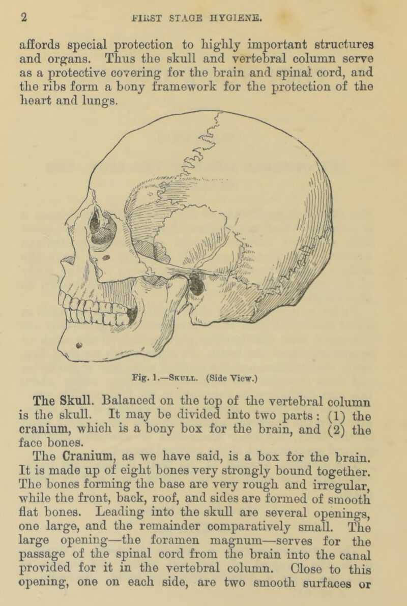 affords special protection to liighly important structures and organs. Thus the skull and vertebral column serve as a protective covering for the brain and spinal cord, and the ribs form a bony framework for the protection of the heart and lungs. Fig. 1.—Skull. (Side View.) The Skull. Balanced on the top of the vertebral column is the skuU. It may be divided into two parts: (1) the cranium, which is a bony box for the brain, and (2) the face bones. The Cranium, as we have said, is a box for the brain. It is made up of eight bones very strongly bound together. Tlie bones forming the base are very rough and irregular, while the front, back, roof, and sides are formed of smooth flat bones. Leading into the skull are several openings, one large, and the remainder comparatively small. The large opening—the foramen magnum—serves for the passage of the spinal cord from the brain into the canal provided for it in the vertebral column. Close to this opening, one on each side, are two smooth surfaces or