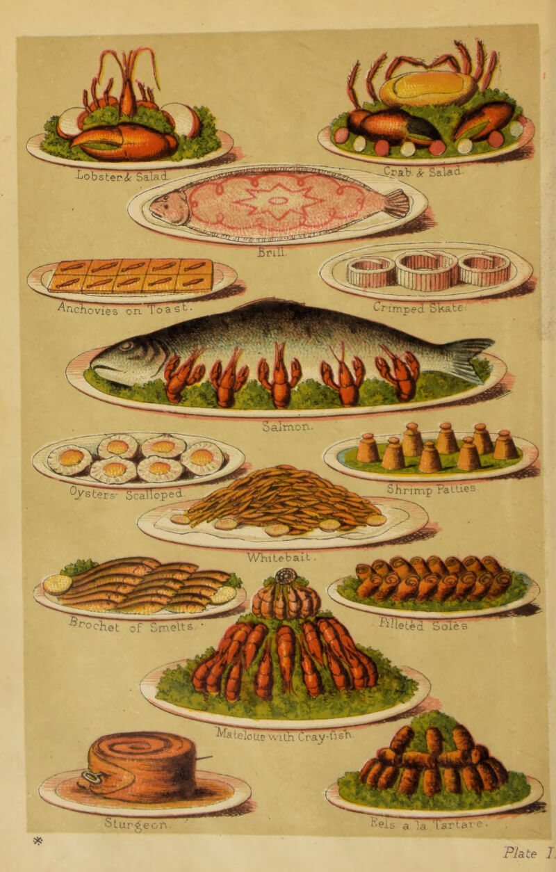 laimon. rimp Rochet of Smelts •Matelott! Phte I.