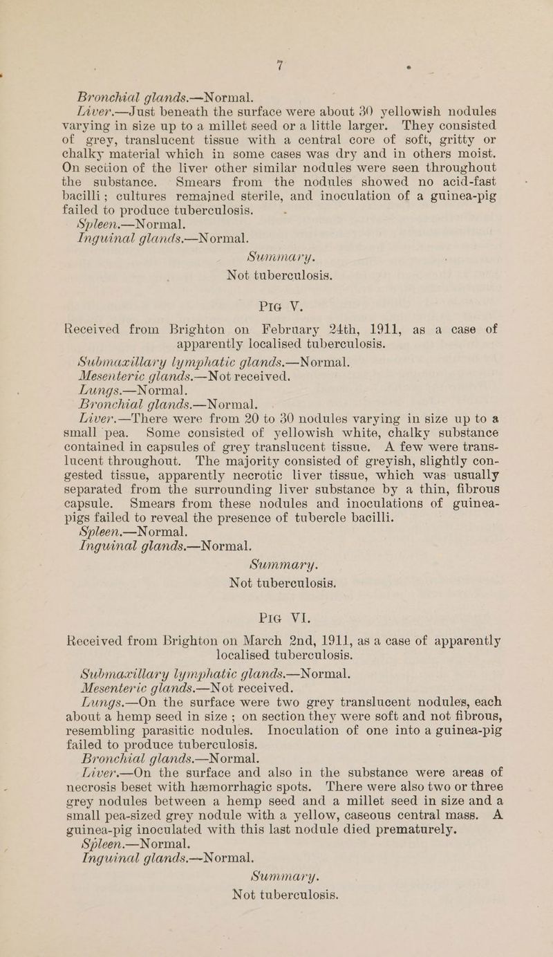 Liver.—Just beneath the surface were about 30 yellowish nodules varying in size up to a millet seed or a little larger. They consisted of grey, translucent tissue with a central core of soft, gritty or chalky material which in some cases was dry and in others moist. On section of the liver other similar nodules were seen throughout the substance. Smears from the nodules showed no acid-fast bacilli; cultures remajned sterile, and inoculation of a guinea-pig failed to produce tuberculosis. Spleen.—Normal. Inguinal glands.—N ormal. Summary. Not tuberculosis. Pig -V. Received from Brighton on February 24th, 1911, as a case of apparently localised tuberculosis. Submaxillary lymphatic glands.—Normal. Mesenteric glands.—Not received. Lungs.—Normal. Bronchial glands.—Normal. Liver.—There were from 20 to 30 nodules varying in size up to a small pea. Some consisted of yellowish white, chalky substance contained in capsules of grey translucent tissue. A few were trans- lucent throughout. The majority consisted of greyish, slightly con- gested tissue, apparently necrotic liver tissue, which was usually separated from the surrounding liver substance by a thin, fibrous capsule. Smears from these nodules and inoculations of guinea- pigs failed to reveal the presence of tubercle bacilli. Spleen.—Normal. Inguinal glands.—Normal. Summary. Not tuberculosis. Pre Viz Received from Brighton on March 2nd, 1911, as a case of apparently localised tuberculosis. Submaxillary lymphatic glands.—Normal. Mesenteric glands.—N ot received. Lungs.—On the surface were two grey translucent nodules, each about a hemp seed in size ; on section they were soft and not fibrous, resembling parasitic nodules. Inoculation of one into a guinea-pig failed to produce tuberculosis. Bronchial glands.—Normal. Liver.—On the surface and also in the substance were areas of necrosis beset with hemorrhagic spots. There were also two or three grey nodules between a hemp seed and a millet seed in size anda small pea-sized grey nodule with a yellow, caseous central mass. A guinea-pig inoculated with this last nodule died prematurely. Spleen.—Normal. Inguinal glands.—-Normal. Summary. Not tuberculosis.