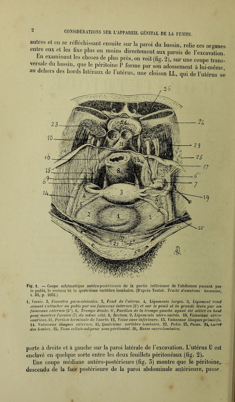 CONSIDÉRATIONS SUR L’APPAREIL GÉNITAL DE LA FEMME. autres et en se réfléchissant ensuite sur la paroi du bassin, relie ces organes entre eux et les fixe plus ou moins directement aux parois de l’excavation En examinant les choses de plus près, on voit (fig. 2), sur une coupe trans- versale du hassin, que le péritoine P forme par son adossement à lui-même au dehors des bords latéraux de rulérus, une cloison LL, qui de l’utérus se Fig. 1. — Coupe schématique antéro-postéi’icure de la partie inférieure de l’abdomen passant pa^ le pubis, le rectum et la quatrième vertèbre lombaire. (D'après Testut. Traité d'anatonn humaine, t. 111, p. 1052.) 1, Vessie. 2, Fossettes para-vésicales. 3, Fond de l’utérus, i, Ligaments larges. 5, Ligament rond venant s'attacher au pubis par ses faisceaux internes (5') et sur le pénil et la grande lèvre par ses faisceaux externes (5). ü, Trompe droite. 6', Pavillon de la trompe gauche ayant été attiré en haut pour montrer l'ovaire (7) du même côté. 8, Rectum. 9, Ligaments utéro-sacrés. 10, Vaisseaux utero- ovariens.i\, Portion terminate de T aorte. 12, Veine cave inférieure. 13, Vaissea^lx iliaques primitifs. li. V aisseaux iliaques externes, lo. Quatrième vertèbre lombaire. 22, Pubis. 23, Psoas. 24, Carré des lombes. 23, Tissu celtido-adipeux sous-péritonéal. 26, Masse sacro-lombaire. porte à droite et à gauche sur la paroi latérale de l’excavation. L’utérus ü est enclavé en quelque sorte entre les deux feuillets péritonéaux (fig. 2). Une coupe médiane antéro-postérieure (fig. 5) montre que le péritoine,, descendu de la face postérieure de la paroi abdominale antérieure, passe.