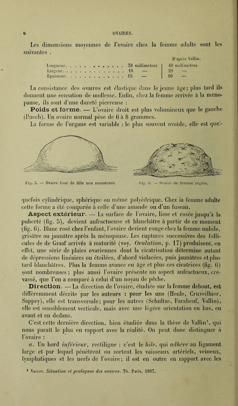 Longueur, Largeui'.. Epaisseur 38 millimètres 18 — 15 — 2Ü 10 La consistance des ovaires est élastique dans le jeune âge: plus tard il.s donnent une sensation de mollesse. Enfin, chez la femme arrivée à la méno- pause, ils sont d’une dureté pierreuse : Poids et forme. — L’ovaire droit est plus volumineux que le gauche (Puech). Un ovaire normal pèse de 6 à 8 grammes. La forme de Porgane est variable : le plus souvent ovoïde, elle est qucl- Kig. O. — Ovaire lisse de fille non menstruée. tig. 0. — Ovaire de l'emiue réglée. quefois cylindrique, sphérique ou môme polyédrique. Chez la femme adulte cette forme a été comparée à celle d’une amande ou d’un fuseau. Aspect extérieur. — La surface de l’ovaire, lisse et rosée jusqu’à la puberté (fig. 5), devient anfractueuse et blanchâtre à partir de ce moment (fig. 6). Blanc rosé chez l’enfant, l’ovaire devient rouge chez la femme nubile, grisâtre ou jaunâtre après la ménopause. Les ruptures successives des l'olli- cules de de Graaf ari’ivés à maturité (voy. Ovulation, p. 17) produisent, en effet, une série de plaies ovariennes dont la cicatrisation détermine autant de dépressions linéaires ou étoilées, d’abord violacées, puis jaunâtres et plus tard blanchâtres. Plus la femme avance en âge et plus ces cicatrices (fig. G) sont nombreuses ; plus aussi l’ovaire présente un aspect anfractueux, cre- vassé, que l’on a comparé à celui d’un noyau de pêche. Direction. —La direction de l’ovaire, étudiée sur la femme debout, est difï'éremment décrite par les auteurs : pour les uns (Ilenle, Cruveilhier, Sappey), elle est transversale; pour les autres (Schultze, Farabeuf, Vallin), elle est sensiblement verticale, mais avec une légère orientation en bas, en avant et en dedans. C’est celte dernière direction, bien étudiée dans la thèse de Vallin', qui nous paraît le plus en rapport avec la réalité. On peut donc distinguer à l’ovaire : a. Un bord inférieur, rectiligne : c’est le hile, qui adhère au ligament large et par lequel pénètrent ou sortent les vaisseaux artériels, veineux, lymphatiques et les nerfs de l’ovaire; il est en outre en rapport avec les ‘ Vai.li.x. Situation et prolapsus des ovaires. Tli. Paris, 1887.