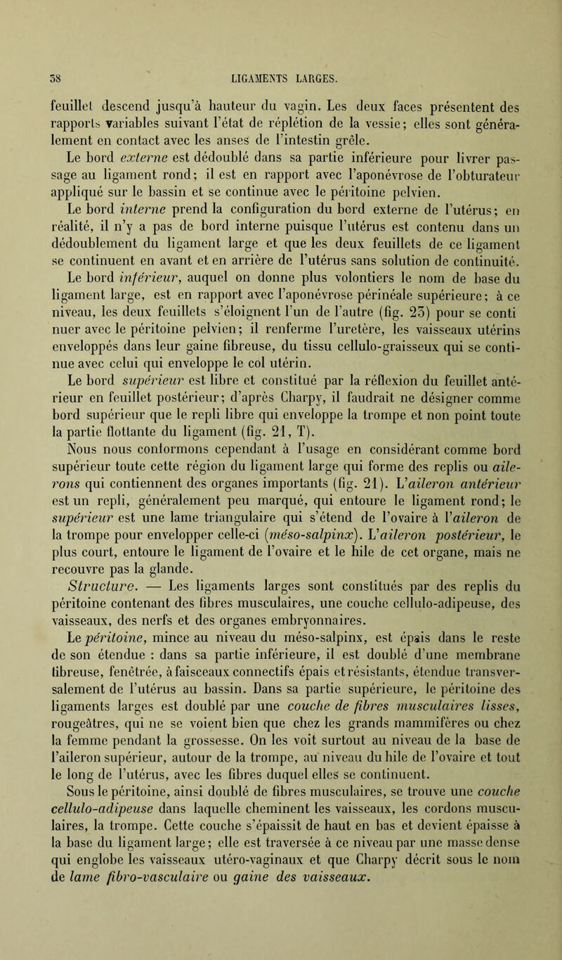 feuillet descend jusqu’à hauteur du vagin. Les deux faces présentent des rapports yariables suivant l’état de réplétion de la vessie ; elles sont généra- lement en contact avec les anses de l’intestin grêle. Le bord externe est dédoublé dans sa partie inférieure pour livrer pas- sage au ligament rond; il est en rapport avec l’aponévrose de l’obturateur appliqué sur le bassin et se continue avec le péritoine pelvien. Le bord interne prend la configuration du bord externe de l’utérus; en réalité, il n’y a pas de bord interne puisque l’utérus est contenu dans un dédoublement du ligament large et que les deux feuillets de ce ligament se continuent en avant et en arrière de l’utérus sans solution de continuité. Le bord inférieur, auquel on donne plus volontiers le nom de base du ligament large, est en rapport avec l’aponévrose périnéale supérieure ; à ce niveau, les deux feuillets s’éloignent l’un de l’autre (fig. 23) pour se conti nuer avec le péritoine pelvien; il renferme l’uretère, les vaisseaux utérins enveloppés dans leur gaine fibreuse, du tissu cellulo-graisseux qui se conti- nue avec celui qui enveloppe le col utérin. Le bord supérieur est libre et constitué par la réflexion du feuillet anté- rieur en feuillet postérieur; d’après Cbarpy, il faudrait ne désigner comme bord supérieur que le repli libre qui enveloppe la trompe et non point toute la partie flottante du ligament (fig. 21, T). Nous nous conformons cependant à l’usage en considérant comme bord supérieur toute cette région du ligament large qui forme des replis ou aile- rons qui contiennent des organes importants (fig. 21). aileron antérieur est un repli, généralement peu marqué, qui entoure le ligament rond; le supérieur est une lame triangulaire qui s’étend de l’ovaire à Yaileron de la trompe pour envelopper celle-ci [méso-salpinx]. Vaileron postérieur, le plus court, entoure le ligament de l’ovaire et le hile de cet organe, mais ne recouvre pas la glande. Structure. — Les ligaments larges sont constitués par des replis du péritoine contenant des fibres musculaires, une couche cellulo-adipeuse, des vaisseaux, des nerfs et des organes embryonnaires. Le péritoine, mince au niveau du méso-salpinx, est épais dans le reste de son étendue : dans sa partie inférieure, il est doublé d’une membrane fibreuse, fenêtrée, à faisceaux connectifs épais et résistants, étendue transver- salement de l’utérus au bassin. Dans sa partie supérieure, le péritoine des ligaments larges est doublé par une couche de fibres musculaires lisses, rougeâtres, qui ne se voient bien que chez les grands mammifères ou chez la femme pendant la grossesse. On les voit surtout au niveau de la base de l’aileron supérieur, autour de la trompe, au niveau du bile de l’ovaire et tout le long de l’utérus, avec les fibres duquel elles se continuent. Sous le péritoine, ainsi doublé de fibres musculaires, se trouve une couche cellulo-adipeuse dans laquelle cheminent tes vaisseaux, les cordons muscu- laires, la trompe. Cette couche s’épaissit de haut en bas et devient épaisse à la base du ligament large; elle est traversée à ce niveau par une masse dense qui englobe les vaisseaux utéro-vaginaux et que Cbarpy décrit sous le nom de lame fibro-vasculaire ou gaine des vaisseaux.