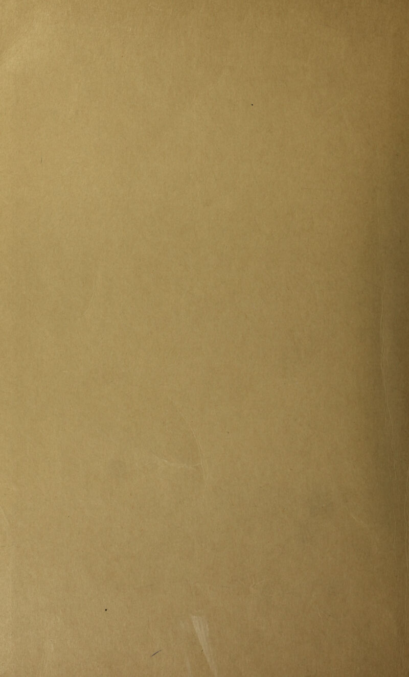 % / >•! r'S *« V iA-; 'rf. if /.V51 \ I