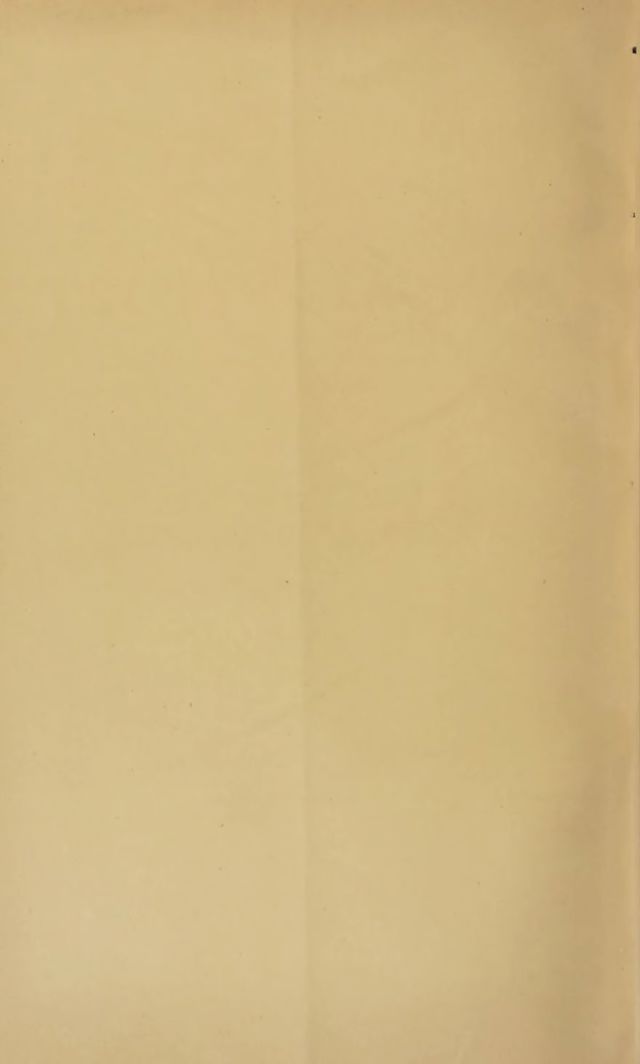 digitised image 2