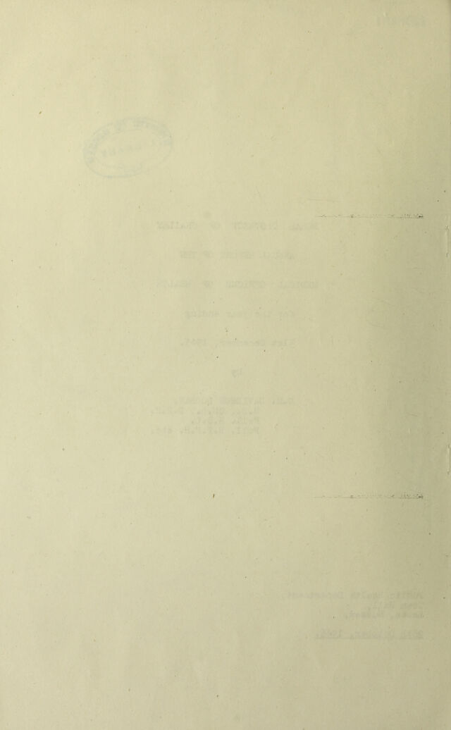 digitised image 2