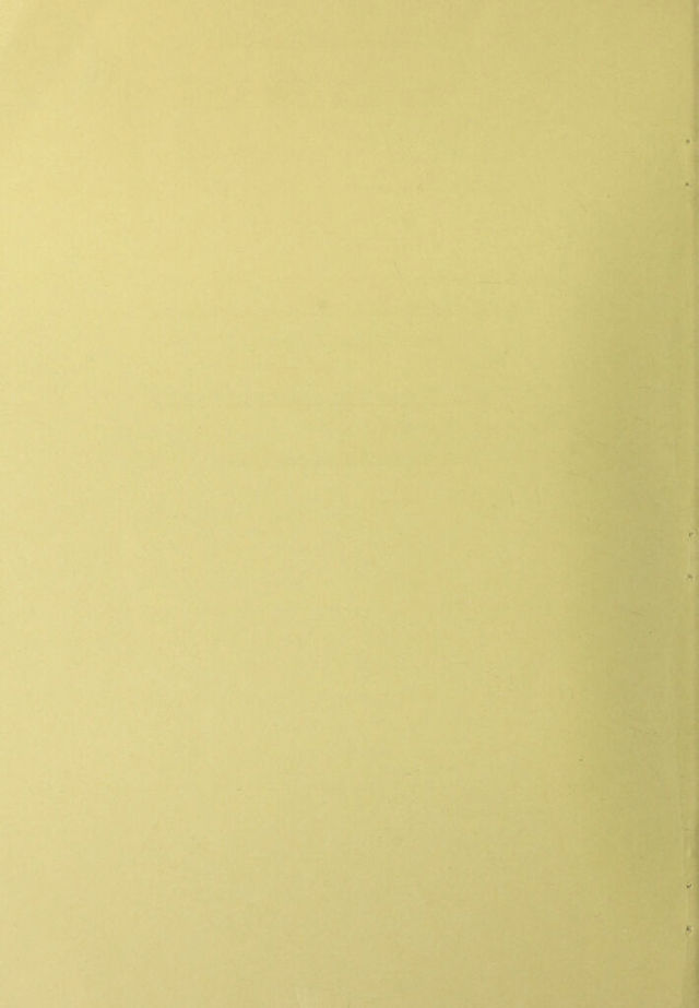 digitised image 2