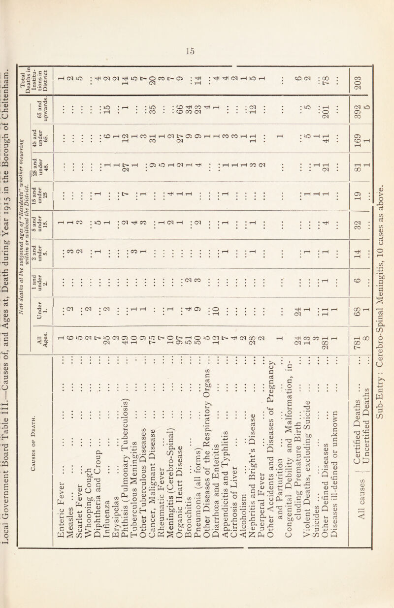 Sub-Entry : Cerebro-Spinal Meningitis, 10 cases as above.