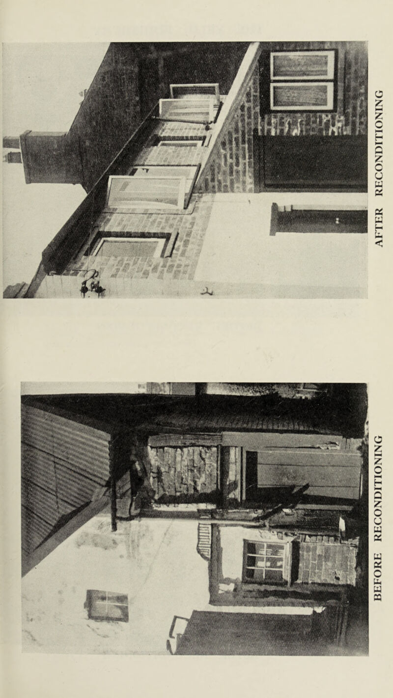 BEFORE RECONDITIONING AFTER RECONDITIONING